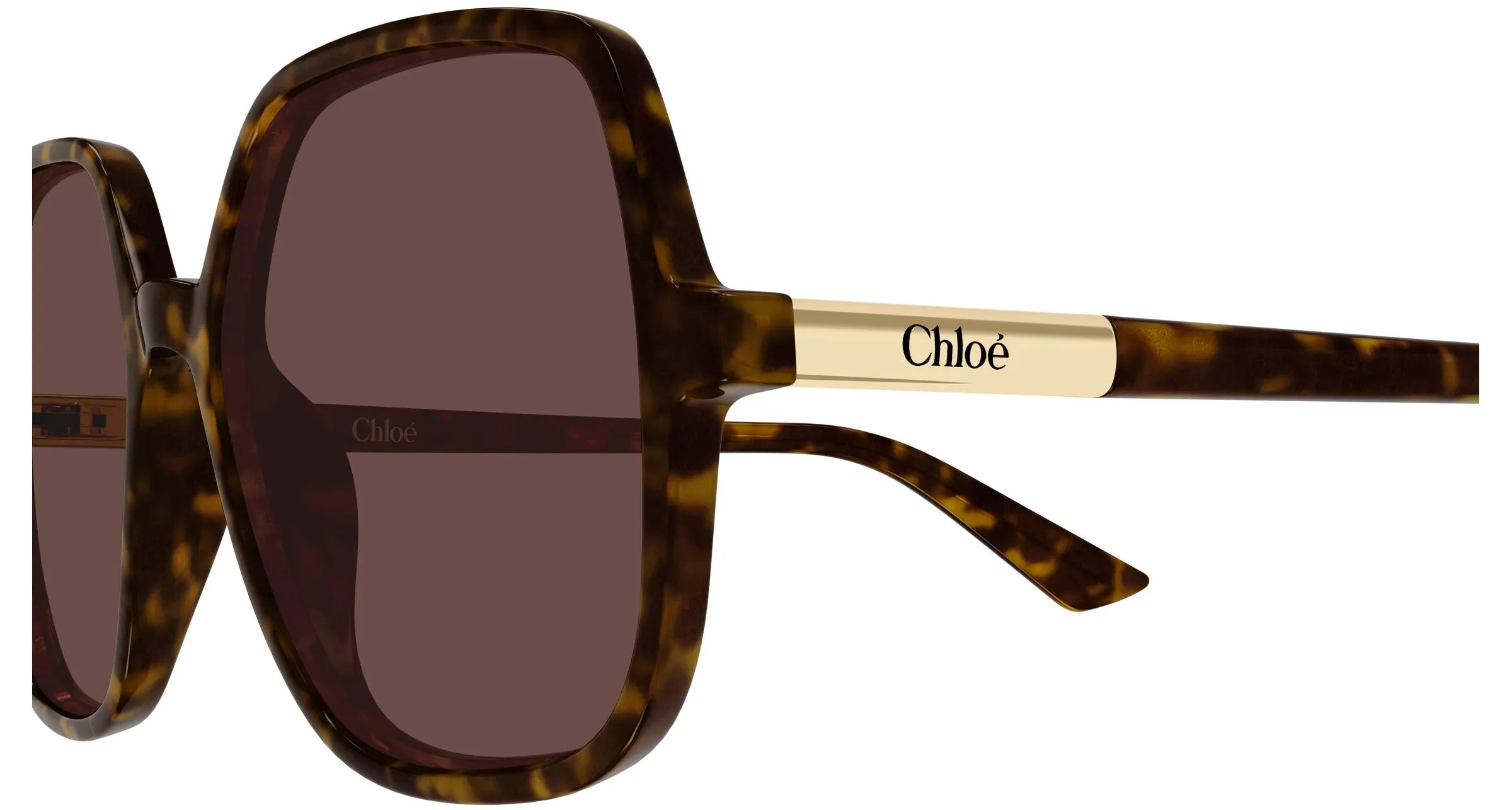 Chloé CH0362S 002 Occhiali da sole Acetato Havana Marrone Geometrica - immagine 3