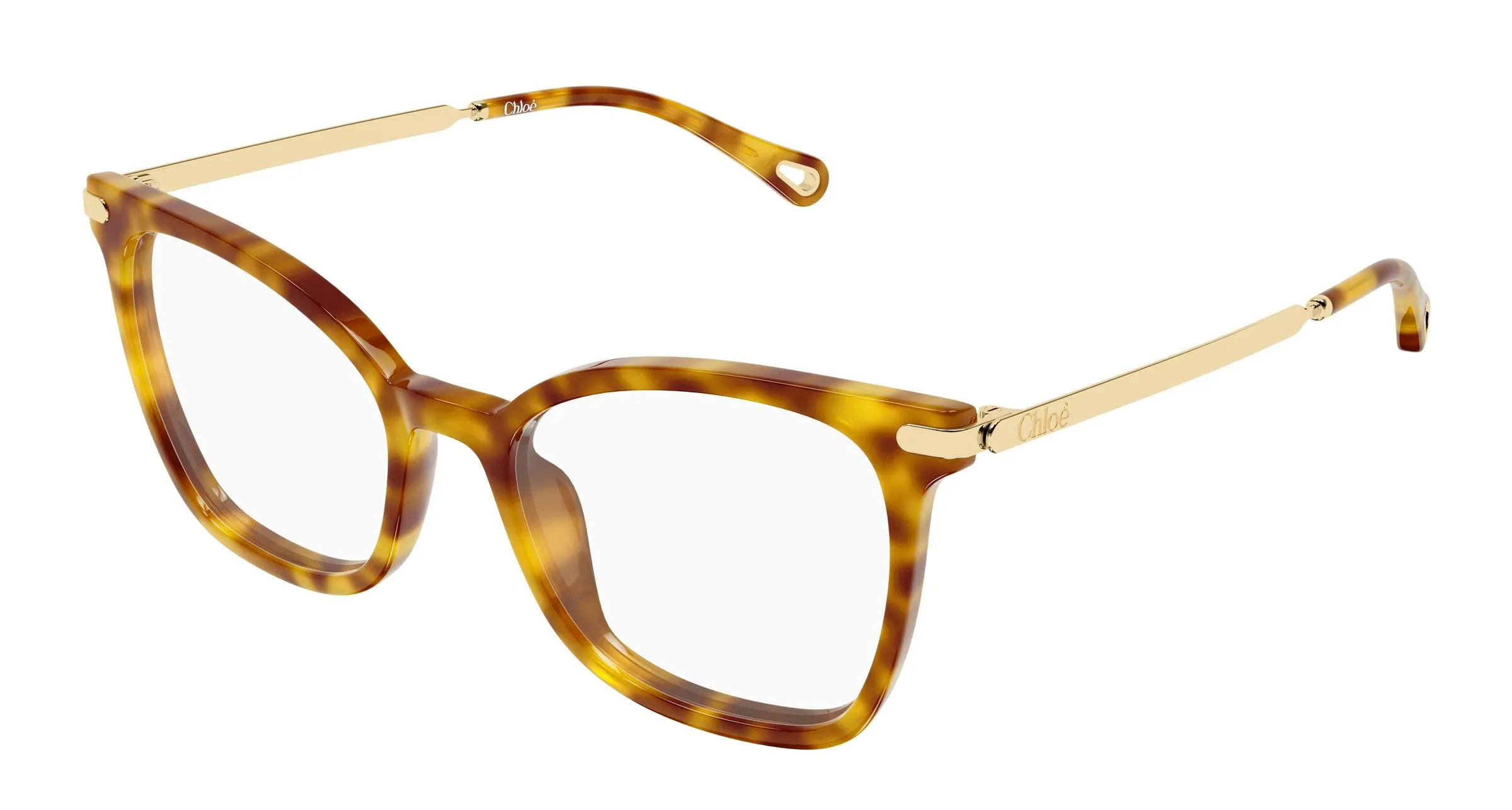 Chloé CH0360O 002 Montature da vista Acetato Havana Trasparente Squadrata - immagine 1