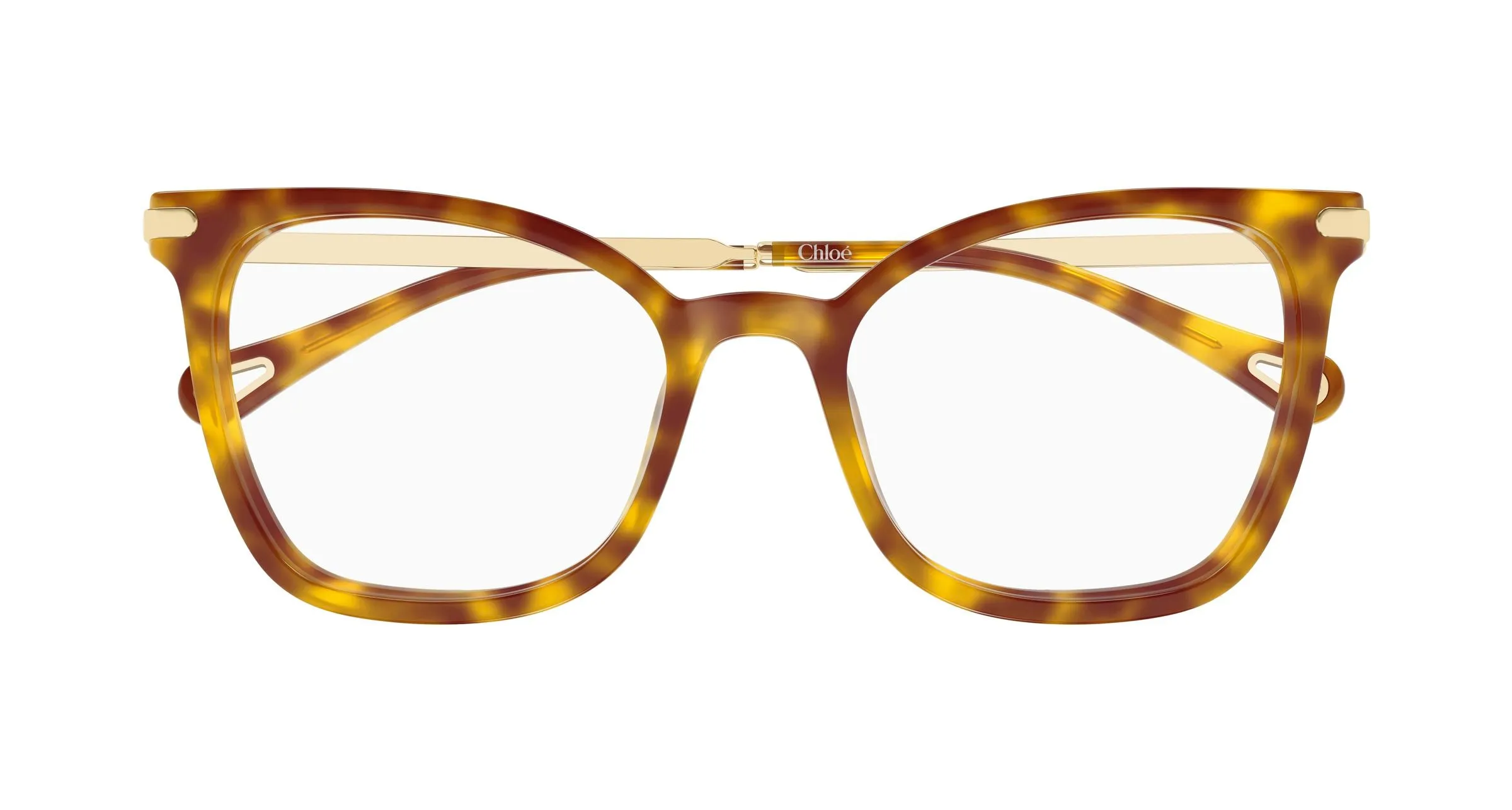Chloé CH0360O 002 Montature da vista Acetato Havana Trasparente Squadrata - immagine 2