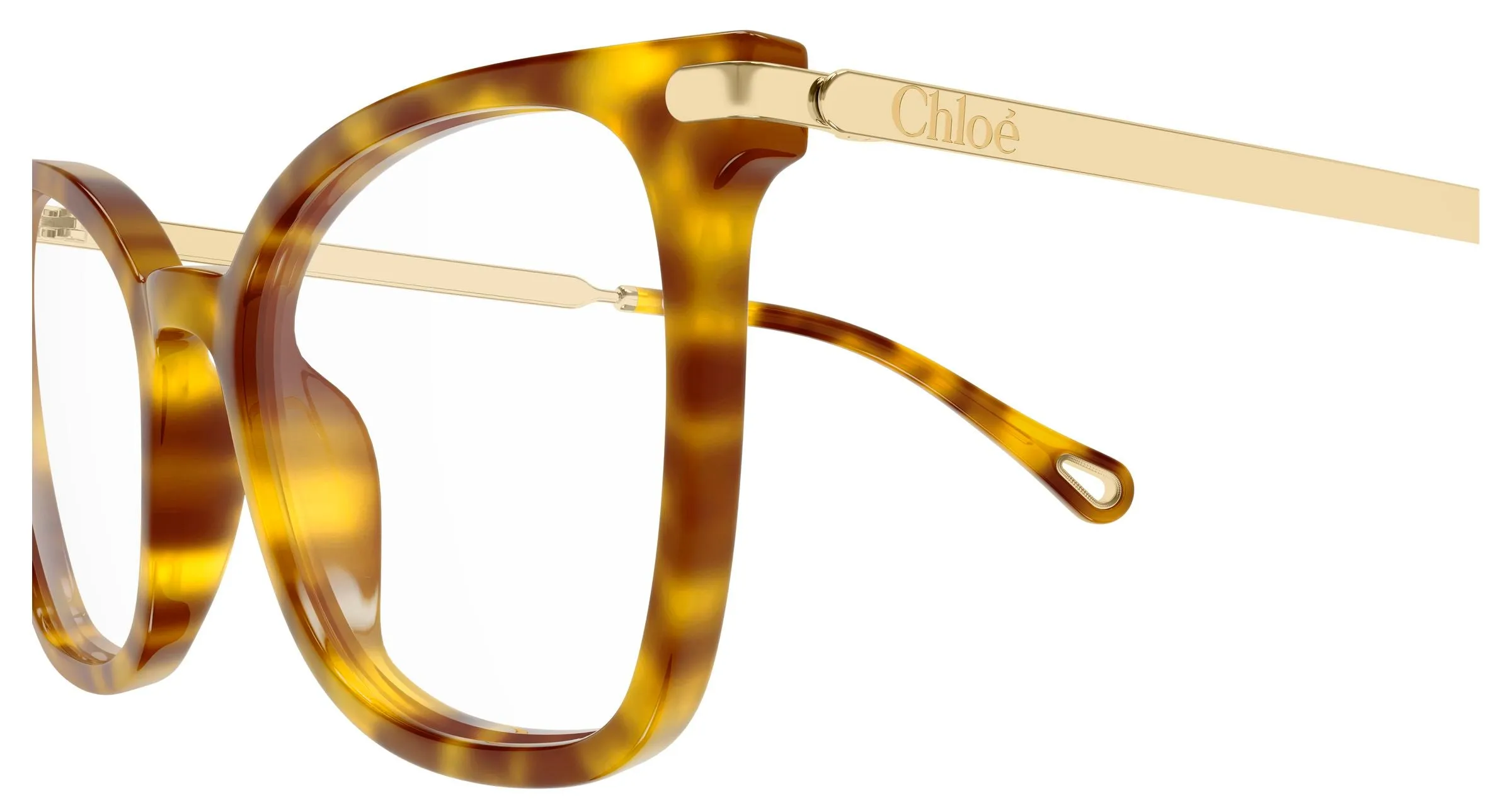Chloé CH0360O 002 Montature da vista Acetato Havana Trasparente Squadrata - immagine 3