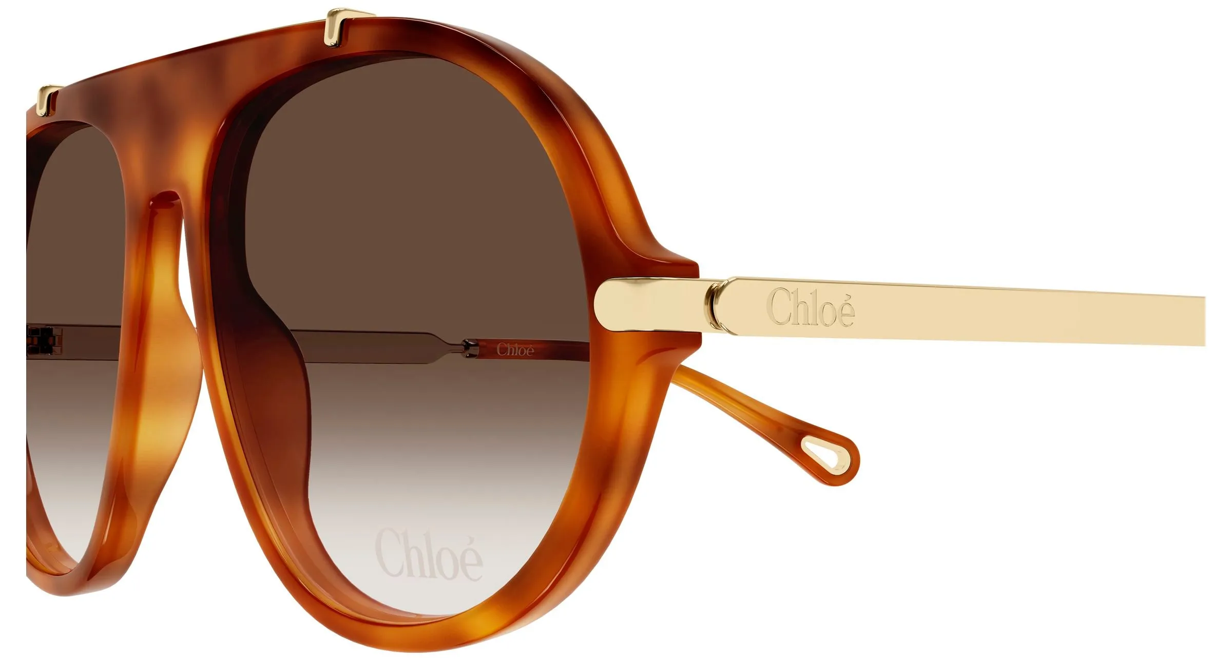 Chloé CH0357S 002 Occhiali da sole Acetato Havana Marrone Rotonda - immagine 3