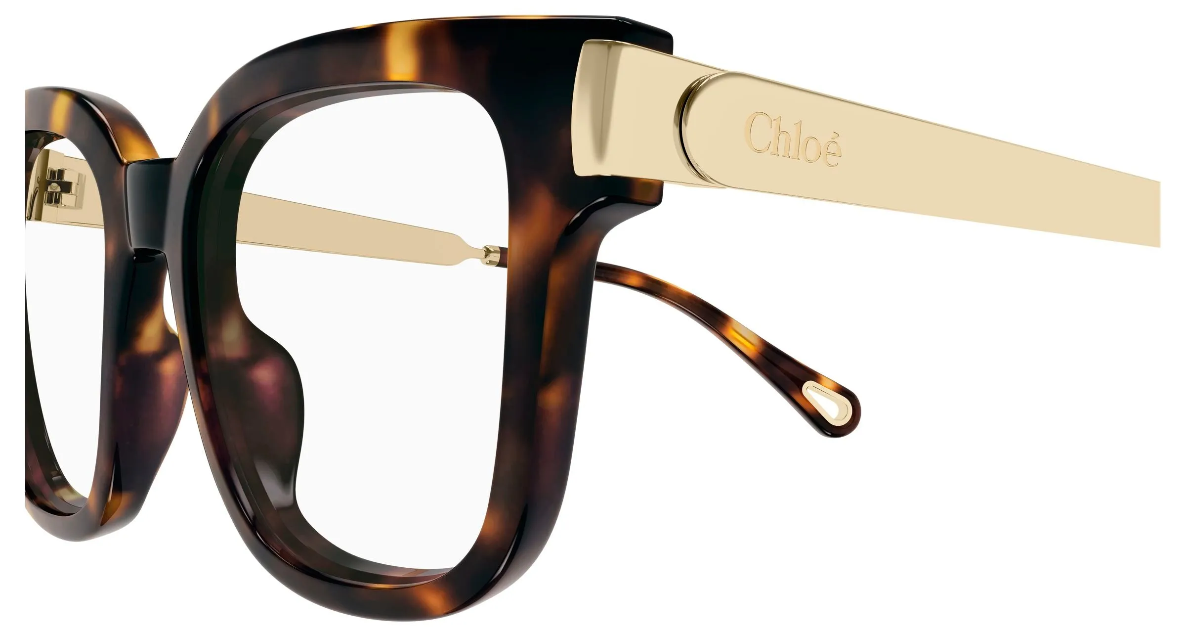 Chloé CH0353O 002 Montature da vista Acetato Havana Trasparente Squadrata - immagine 3