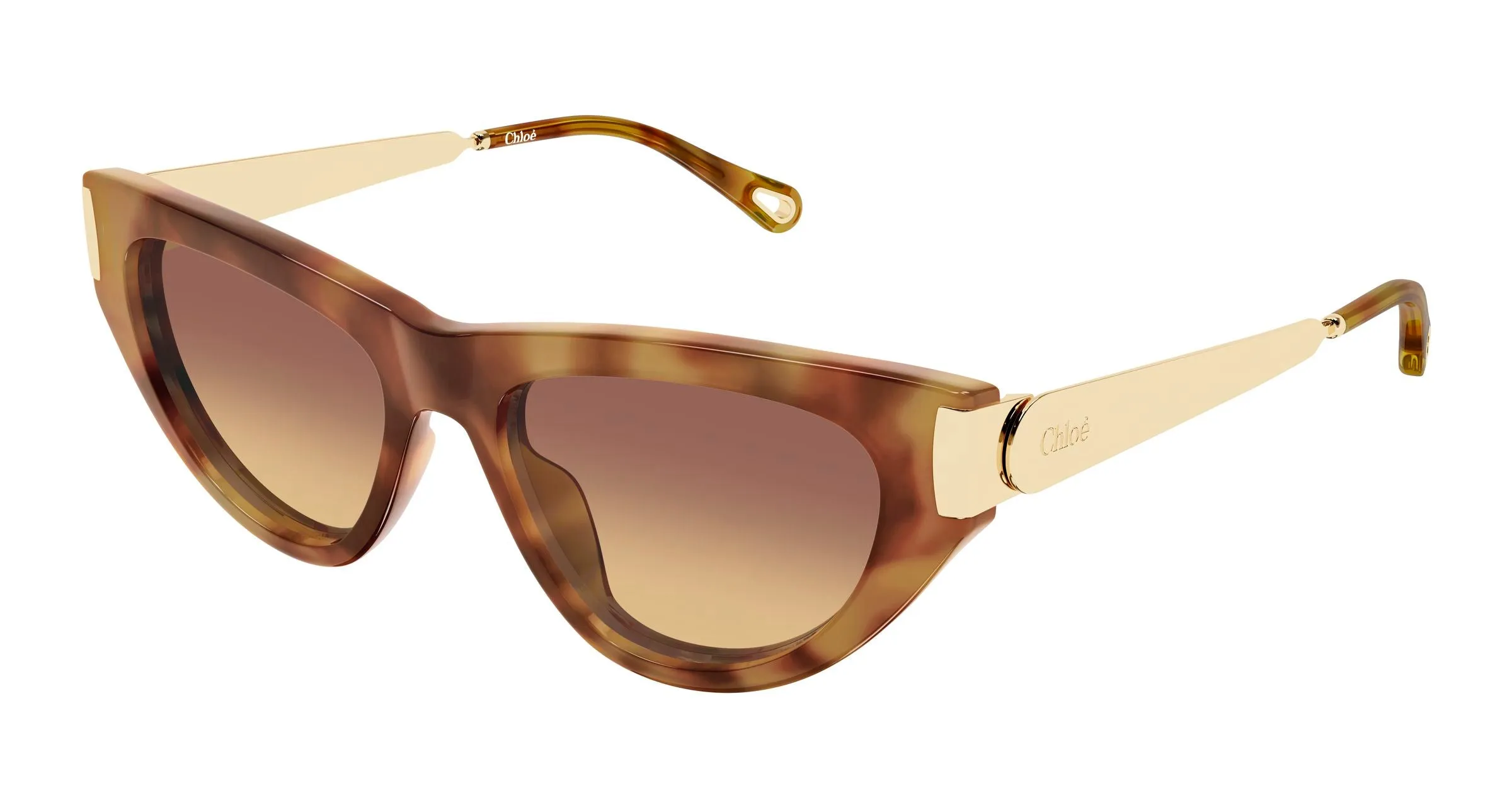 Chloé CH0350S 002 Occhiali da sole Acetato Havana Marrone Cat Eye - immagine 1