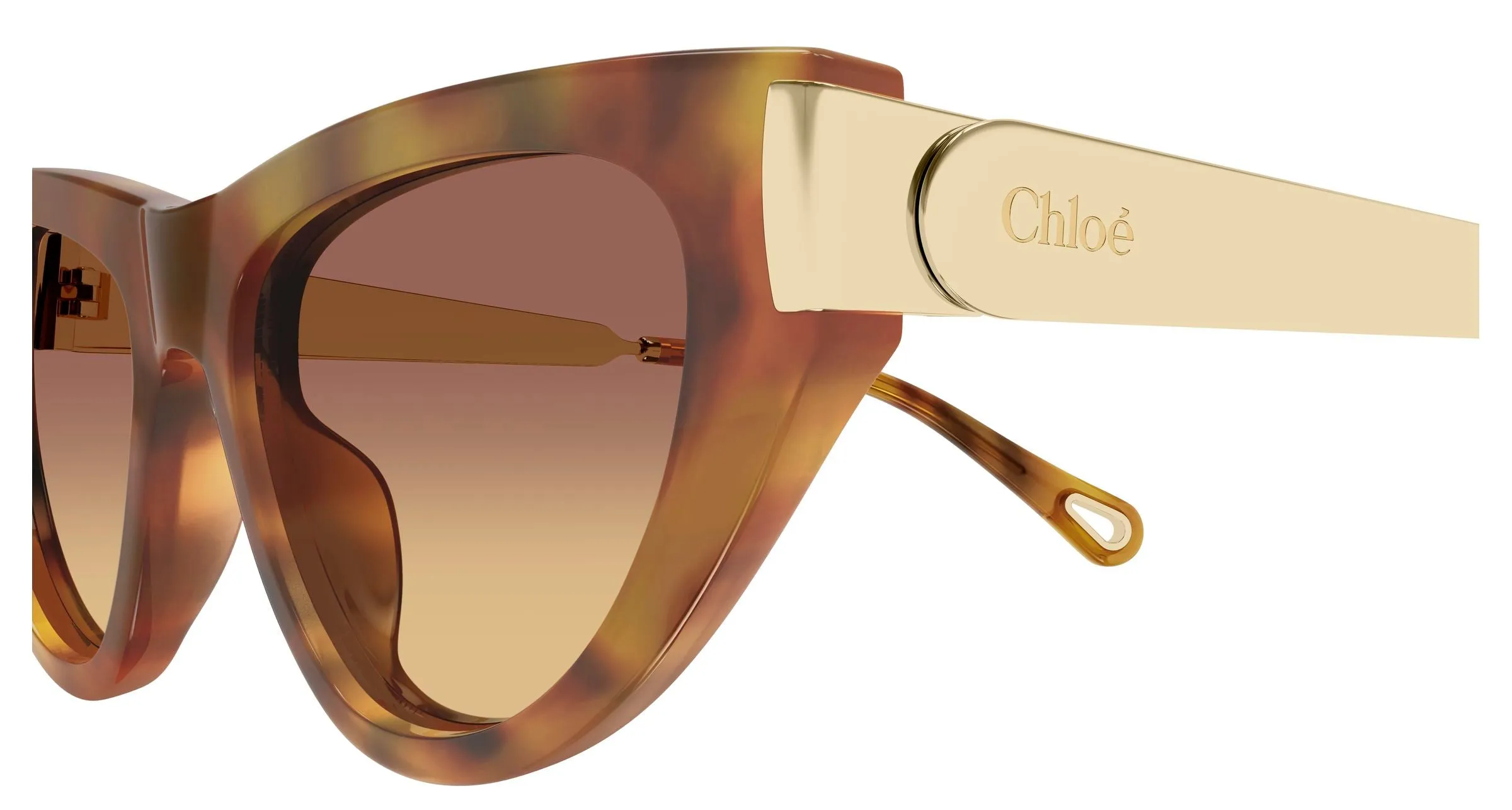 Chloé CH0350S 002 Occhiali da sole Acetato Havana Marrone Cat Eye - immagine 3