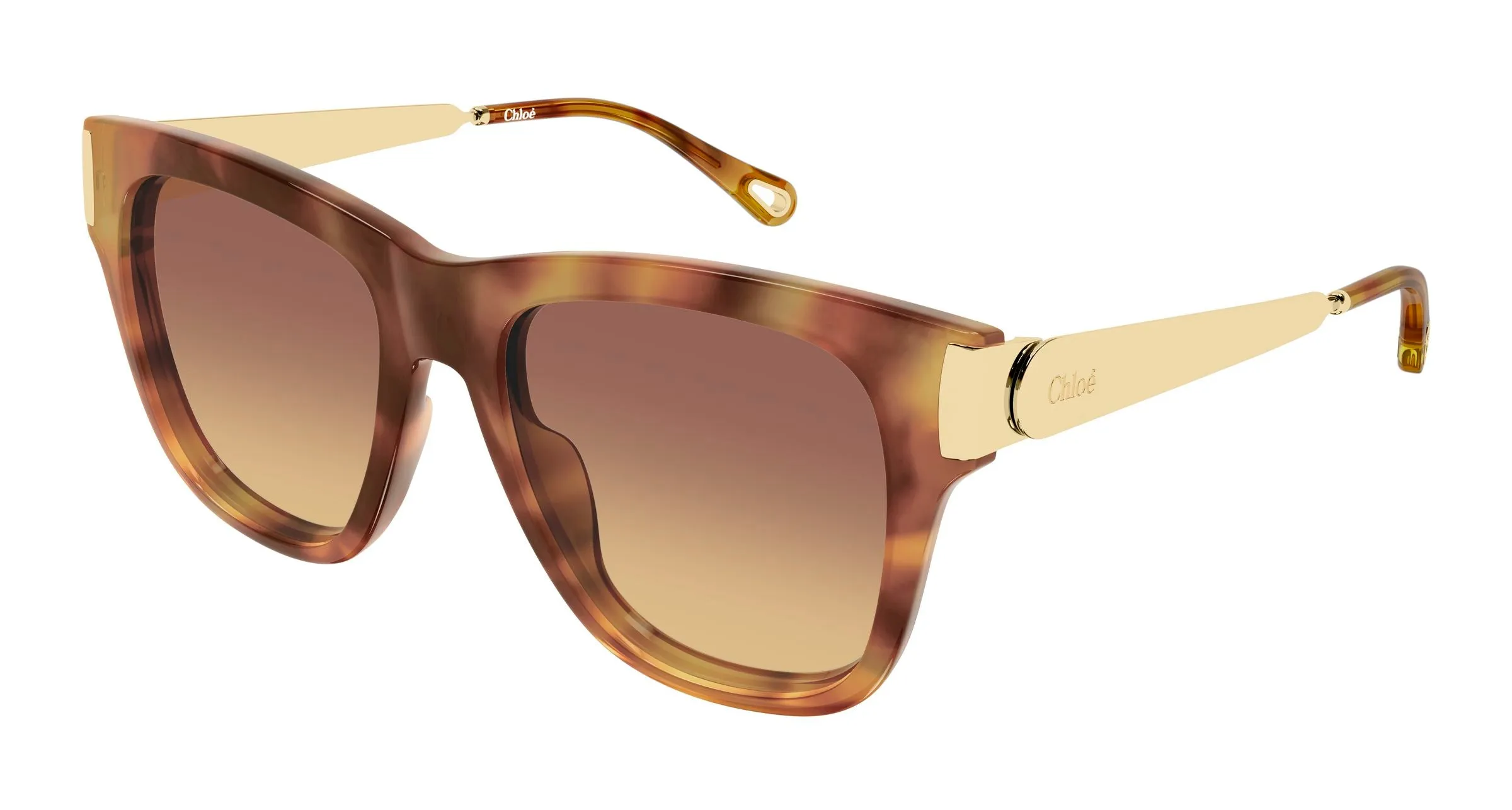Chloé CH0349S 002 Occhiali da sole Acetato Havana Marrone Cat Eye - immagine 1
