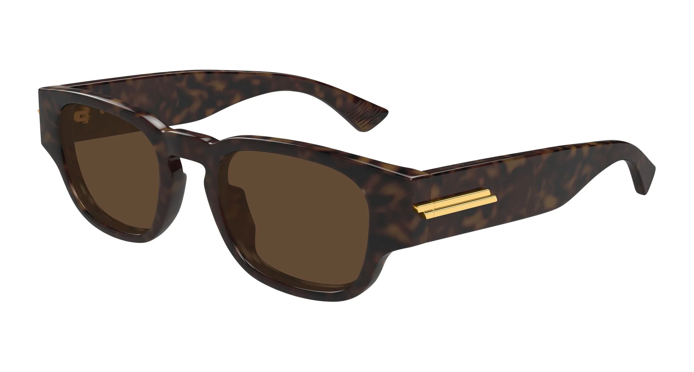 Bottega Veneta BV1460S 002 Occhiali da sole Acetato Havana Marrone Rotonda - immagine 1