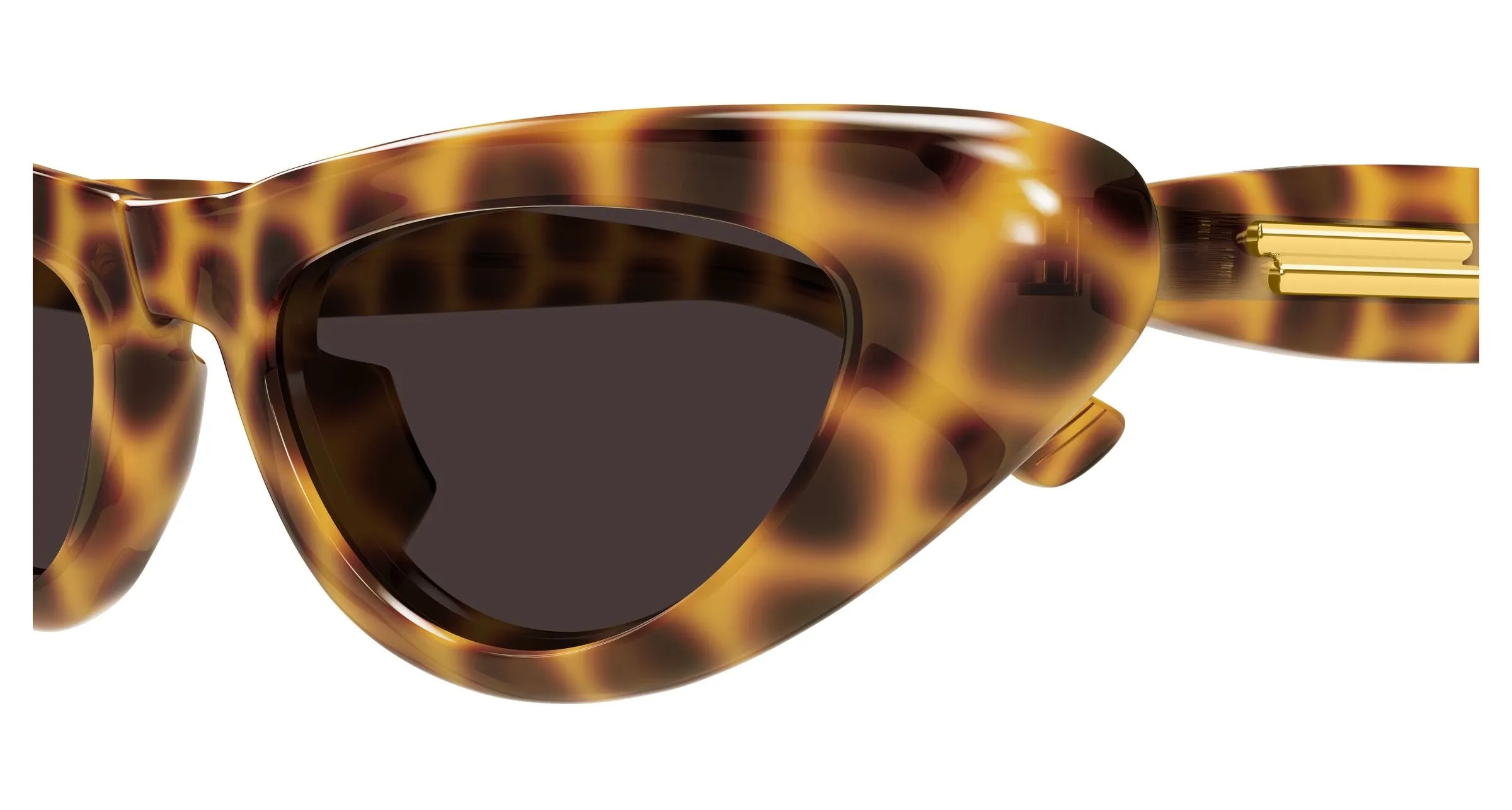 Bottega Veneta BV1450S 002 Occhiali da sole Acetato Havana Marrone Cat Eye - immagine 3