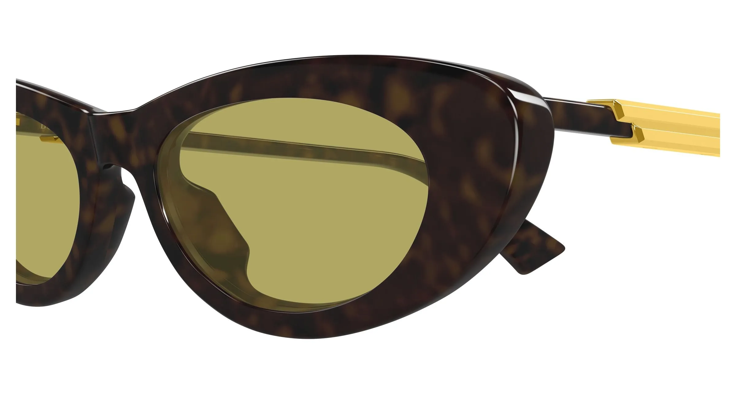 Bottega Veneta BV1447S 002 Occhiali da sole Acetato Havana Cat Eye - immagine 3