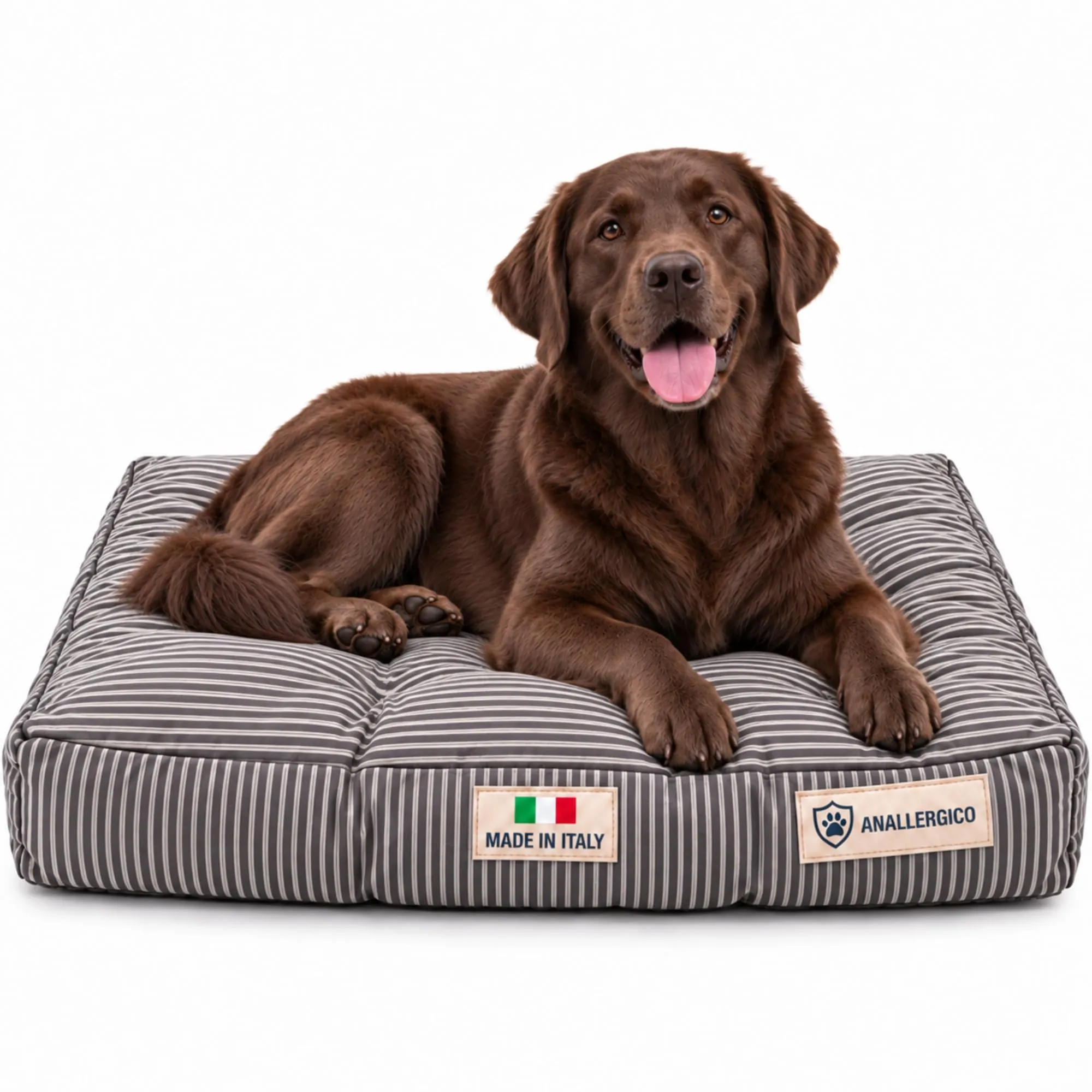 TECNOCUCI Cuccia Cane Lavabile, Realizzata a Mano in Italia, Taglia XL - immagine 1