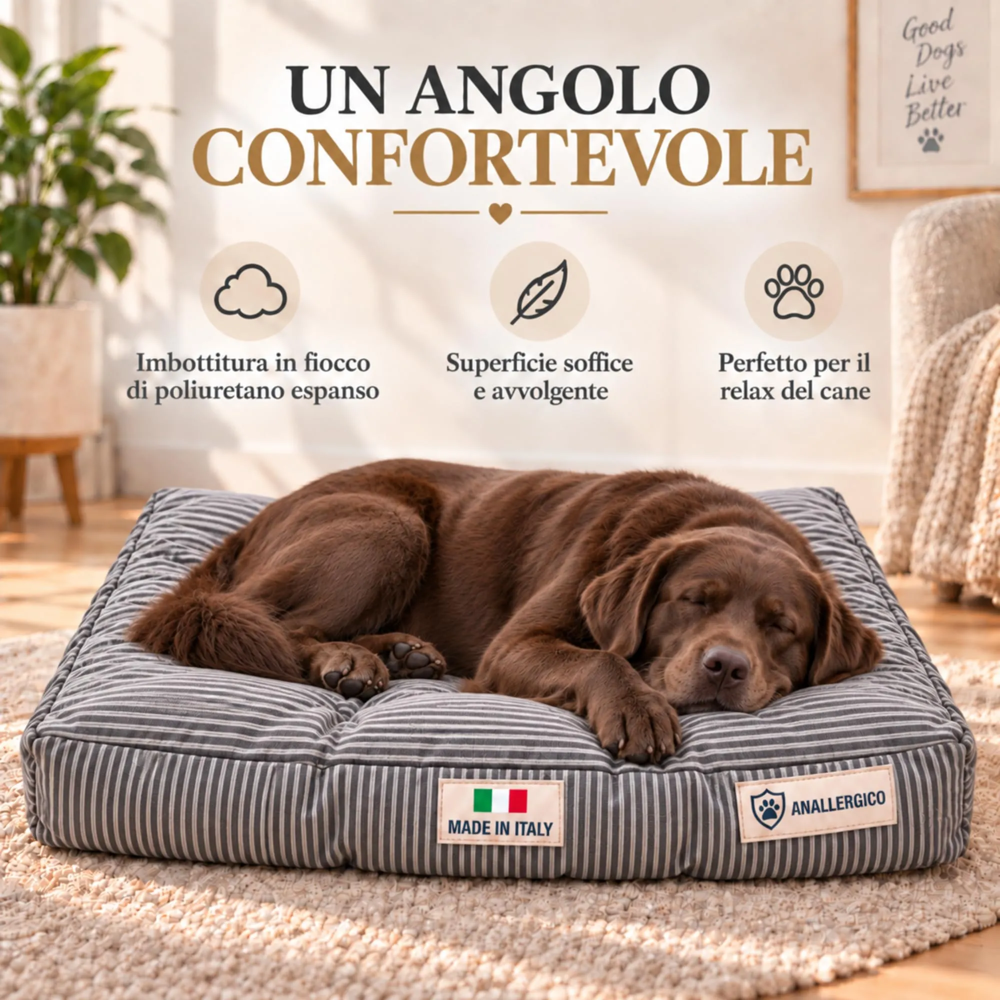 TECNOCUCI Cuccia Cane Lavabile, Realizzata a Mano in Italia, Taglia XL - immagine 4