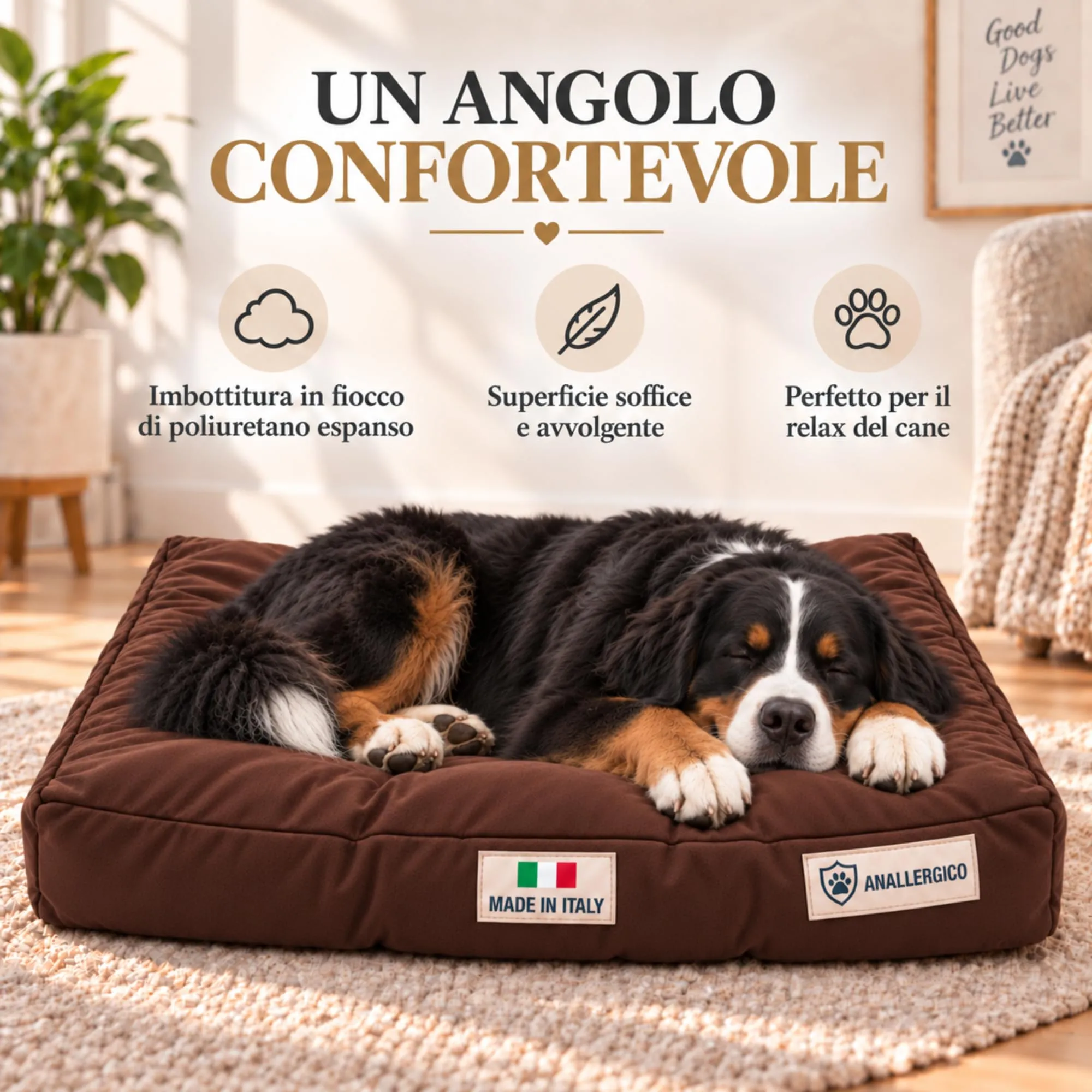 TECNOCUCI Cuccia Cane Lavabile, Realizzata a Mano in Italia, Taglia XL - immagine 4