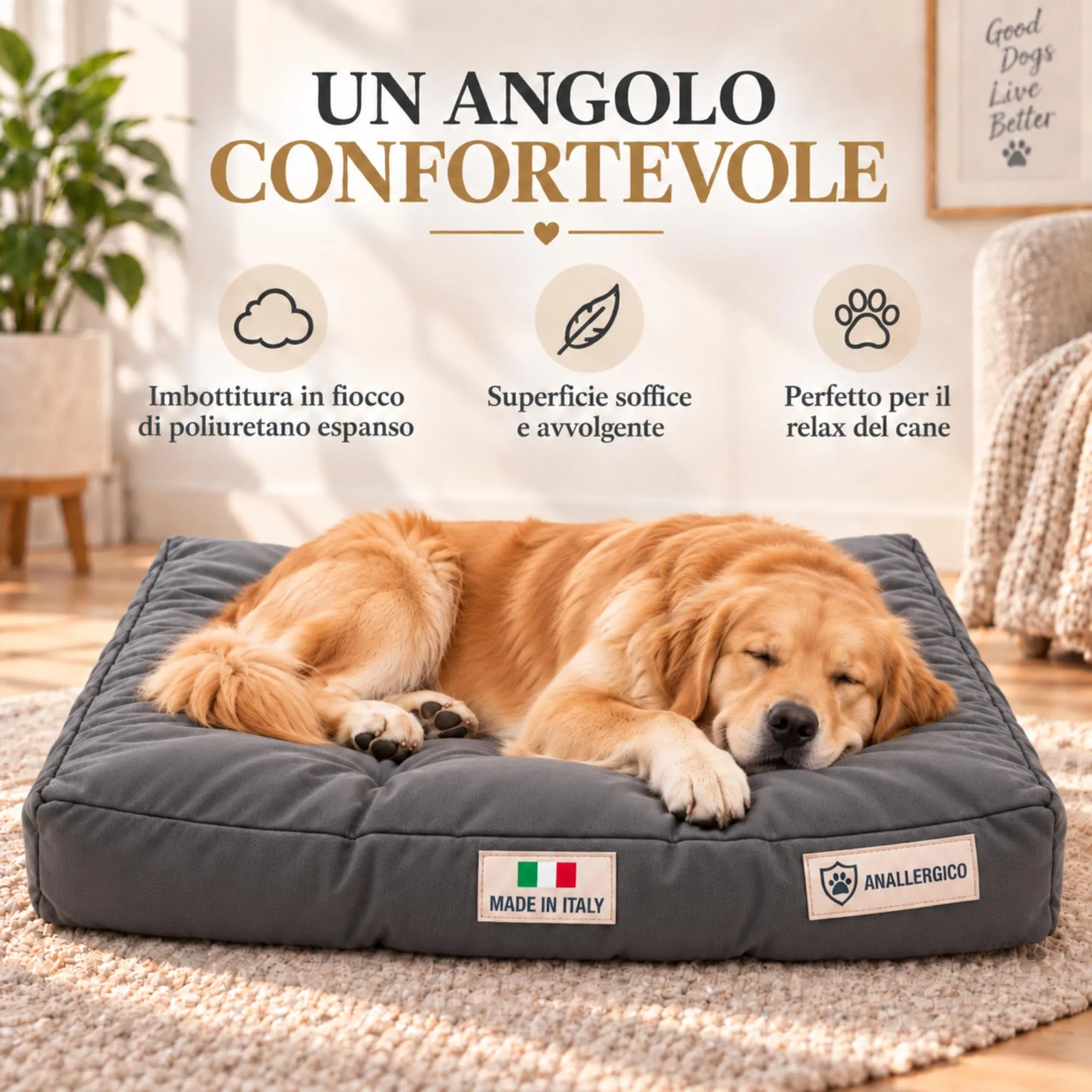 TECNOCUCI Cuccia Cane Lavabile, Realizzata a Mano in Italia, Taglia XL - immagine 4