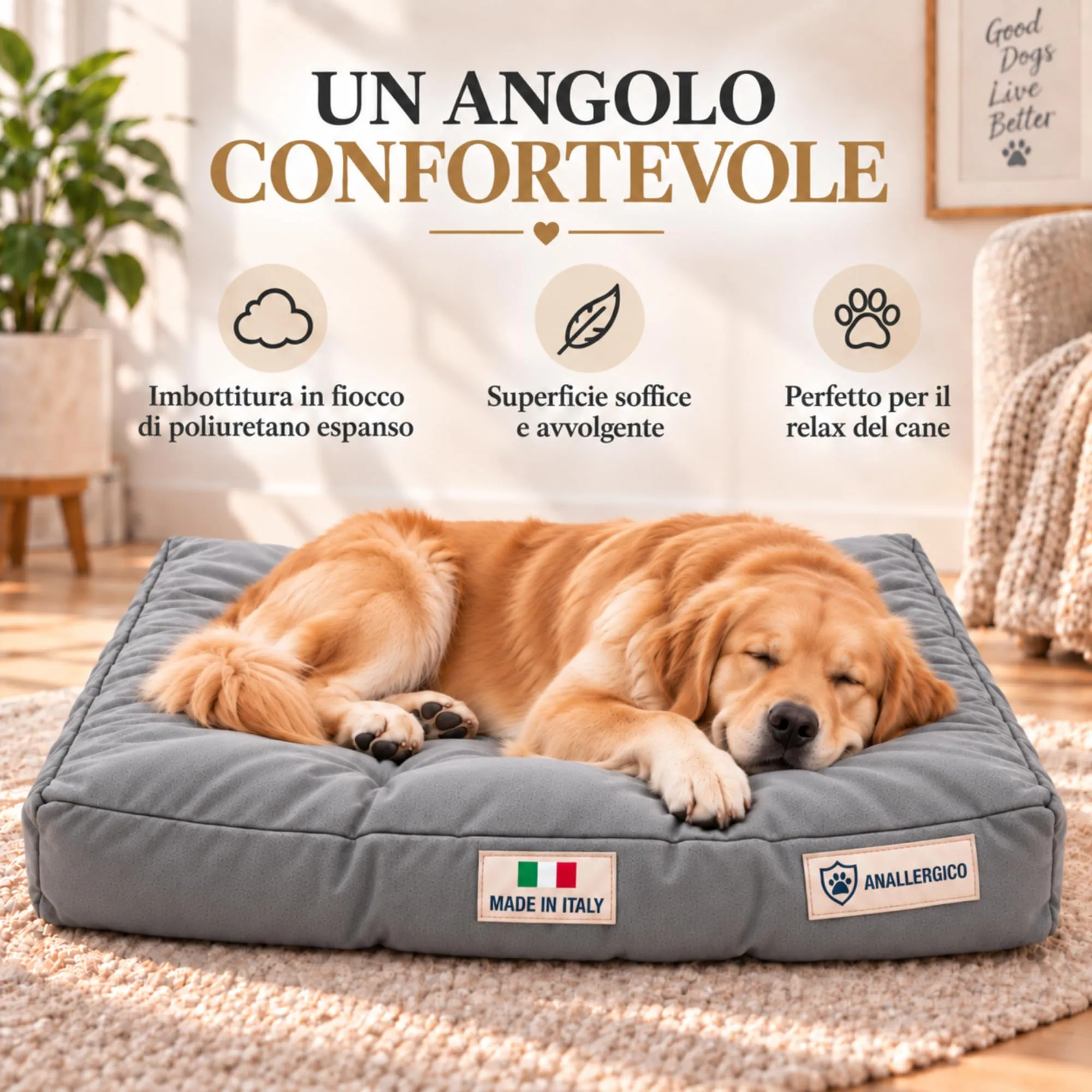 TECNOCUCI Cuccia Cane Lavabile, Realizzata a Mano in Italia, Taglia XL - immagine 4