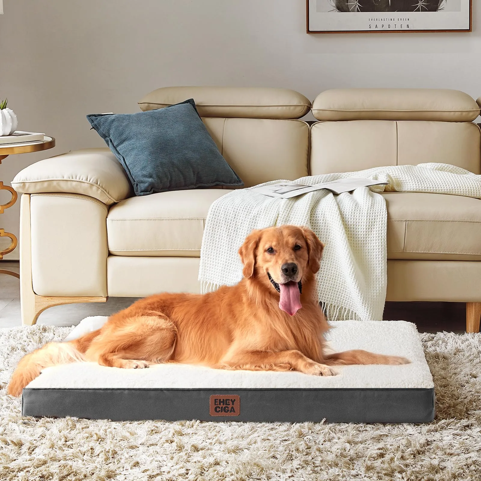 EHEYCIGA Removable Washable Orthopedic Dog Bed Cushion,White, 76 x 51 cm - immagine 6