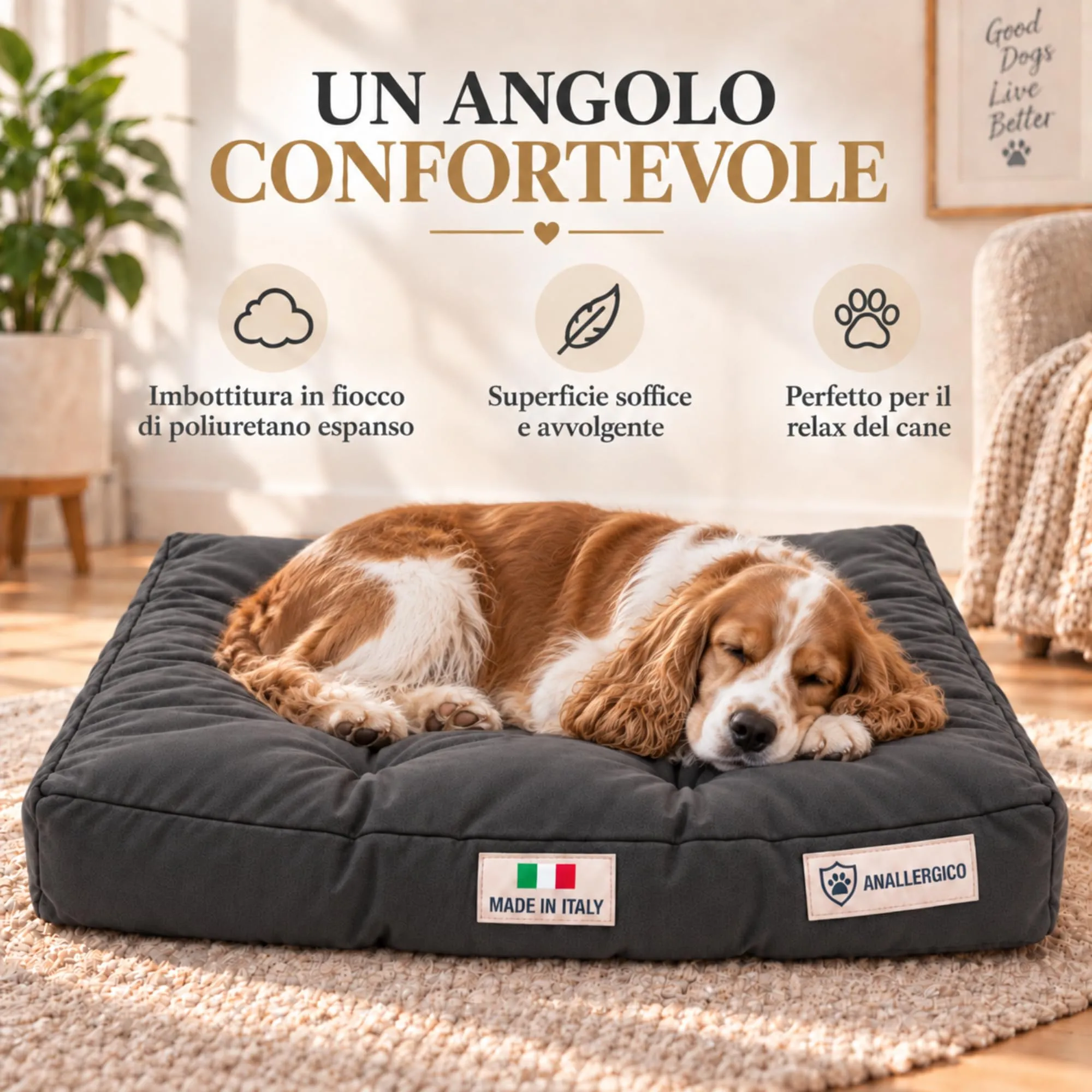 TECNOCUCI Cuccia Cane Lavabile, Realizzata a Mano in Italia, Taglia L - immagine 4