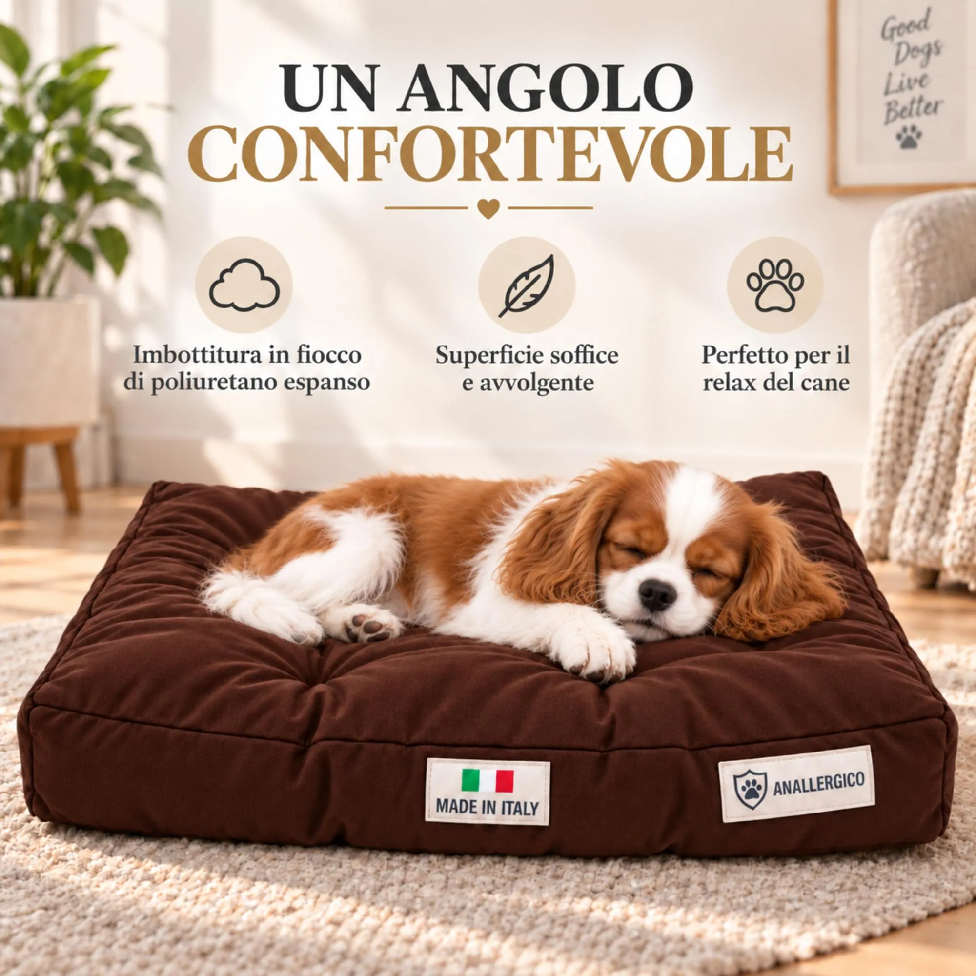 TECNOCUCI Cuccia Cane Lavabile, Realizzata a Mano in Italia, Taglia M - immagine 4