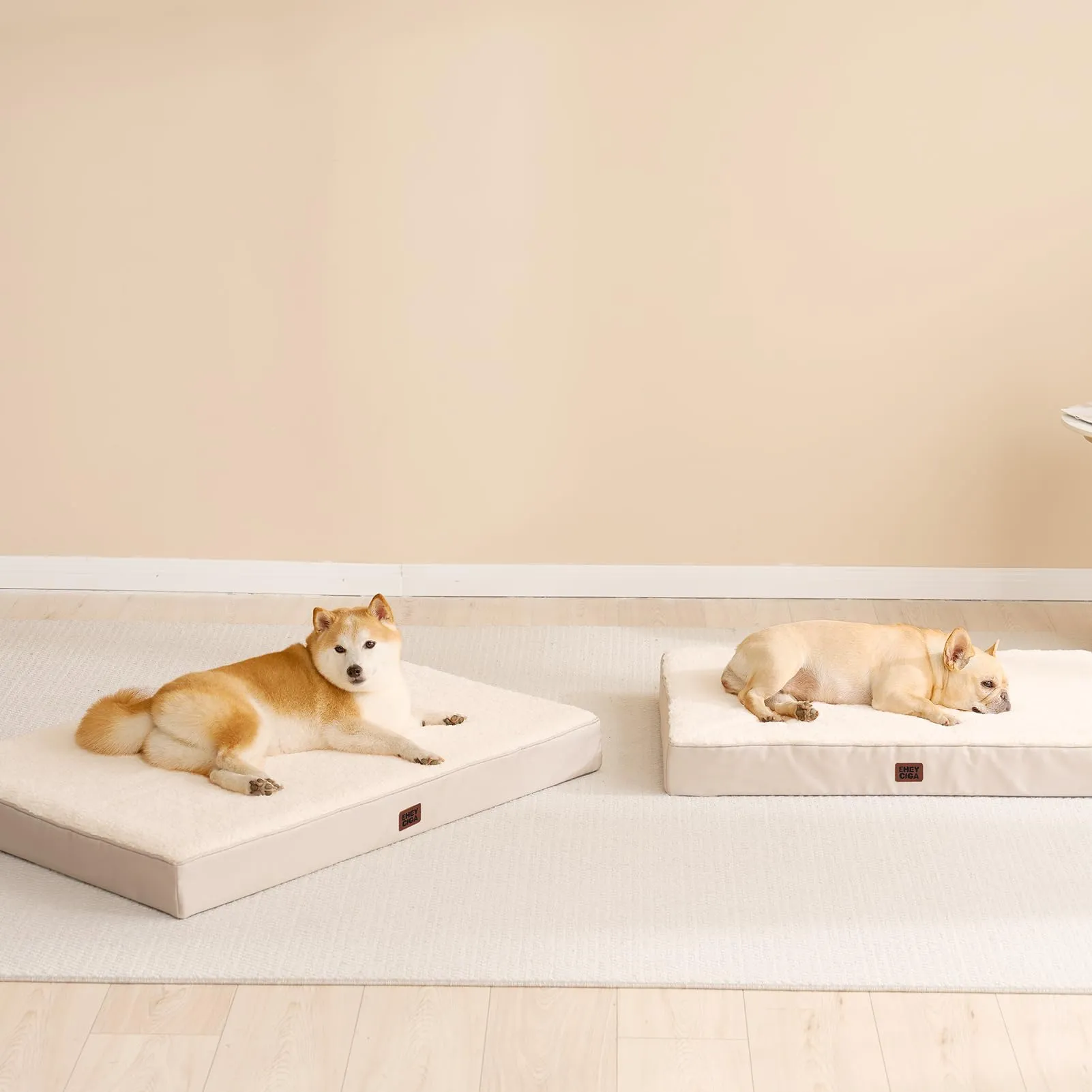 EHEYCIGA Cuccia Cane Interno Taglia Media, (76L x 51W cm) Ortopedica Cuscino per Cani, Cuscino Cane Sfoderabile e Lavabile, Ortopedico Lettino per Cani, Orthopedic Dog Bed, Cammello - immagine 7