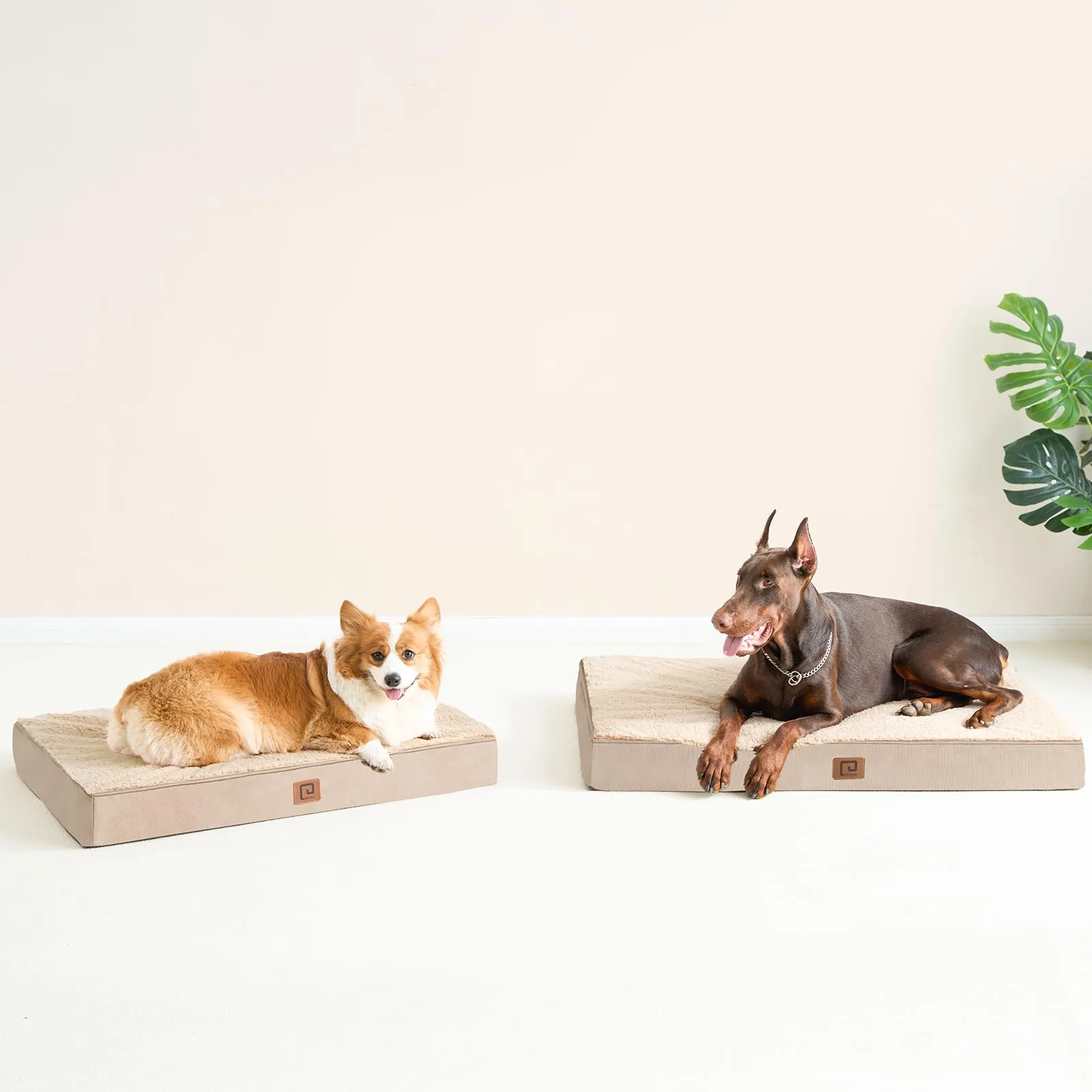EHEYCIGA Removable Washable Orthopedic Dog Bed Cushion, Khaki, 89 x 58 cm - immagine 9