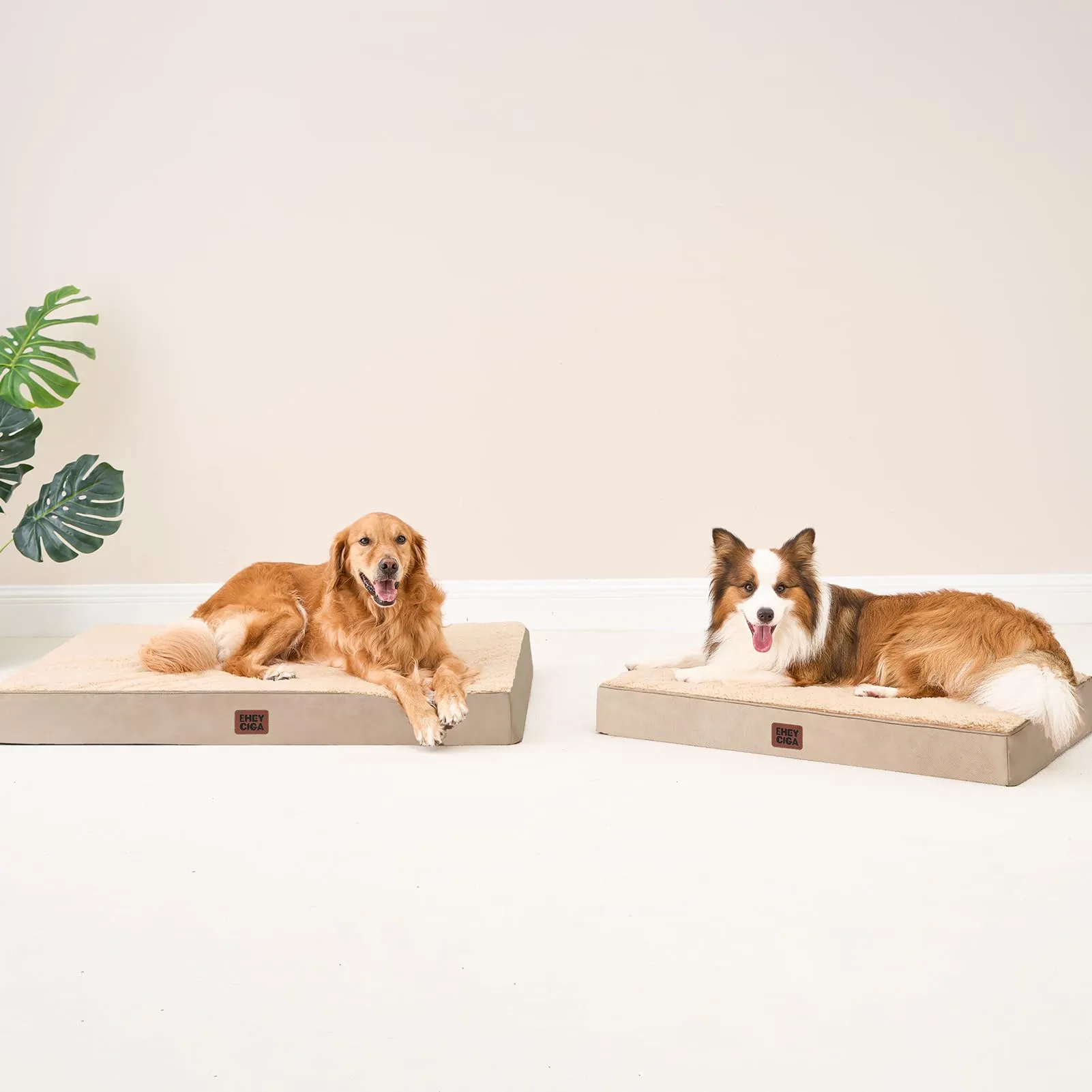 EHEYCIGA Cuccia Cane Interno Taglia Grande XL, (112L x 81W cm) Ortopedica Cuscino per Cani, Cuscino Cane Sfoderabile e Lavabile, Ortopedico Lettino per Cani, Orthopedic Dog Bed, Cachi - immagine 9