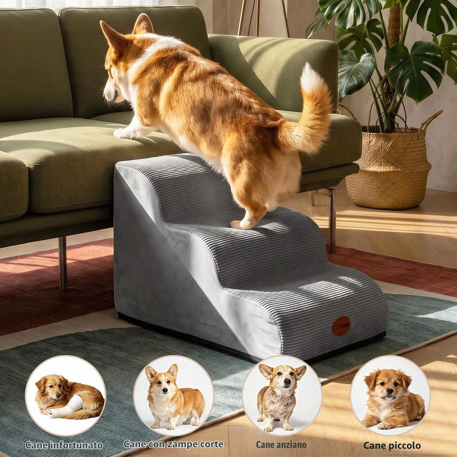 X XBEN Scala er Animali, Scale per Cani e Gatti Piccoli, Anziani e Feriti - immagine 9
