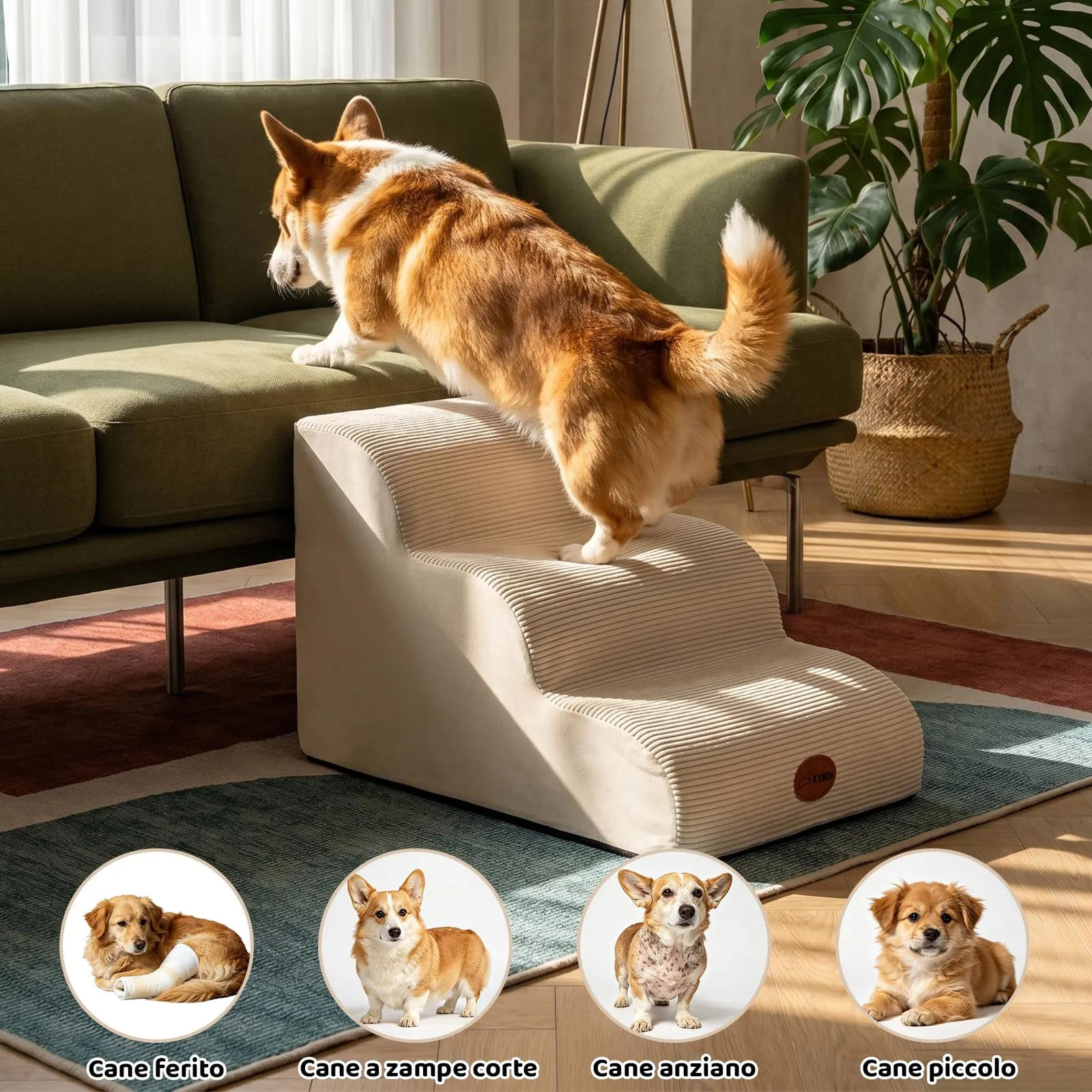 X XBEN Scala er Animali, Scale per Cani e Gatti Piccoli, Anziani e Feriti - immagine 5