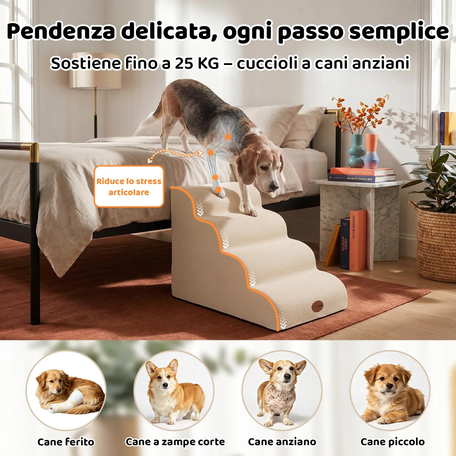 X XBEN Scala er Animali, Scale per Cani e Gatti Piccoli, Anziani e Feriti - immagine 5