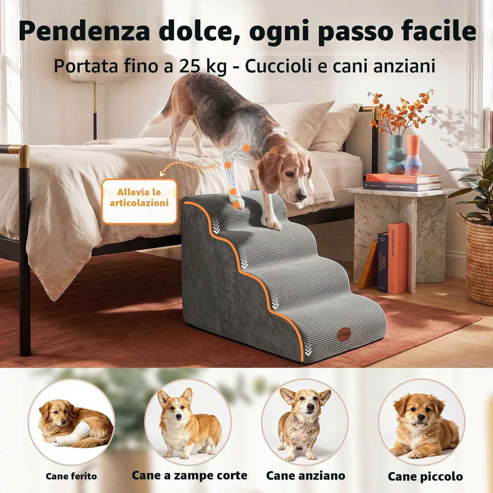 X XBEN Scala er Animali, Scale per Cani e Gatti Piccoli, Anziani e Feriti - immagine 6