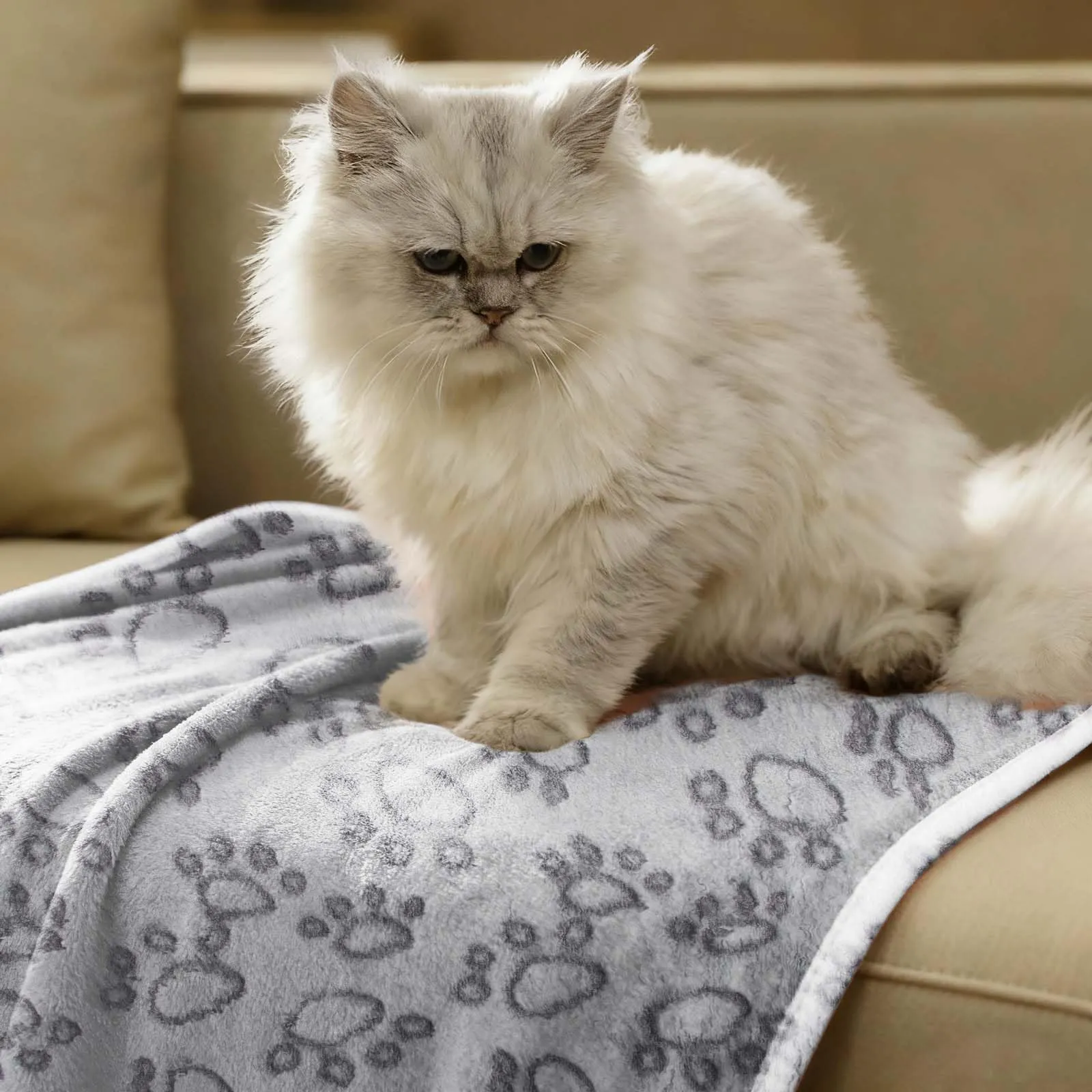 CIYIN 3 Pezzi Coperta Cane, Copertina per Animali,Copertina Cane Lavabile,Animali Domestici Coper tina Gatto,Coper tina per Cani Gatti Piccola e Media Taglia (C3, 104x76cm) - immagine 4