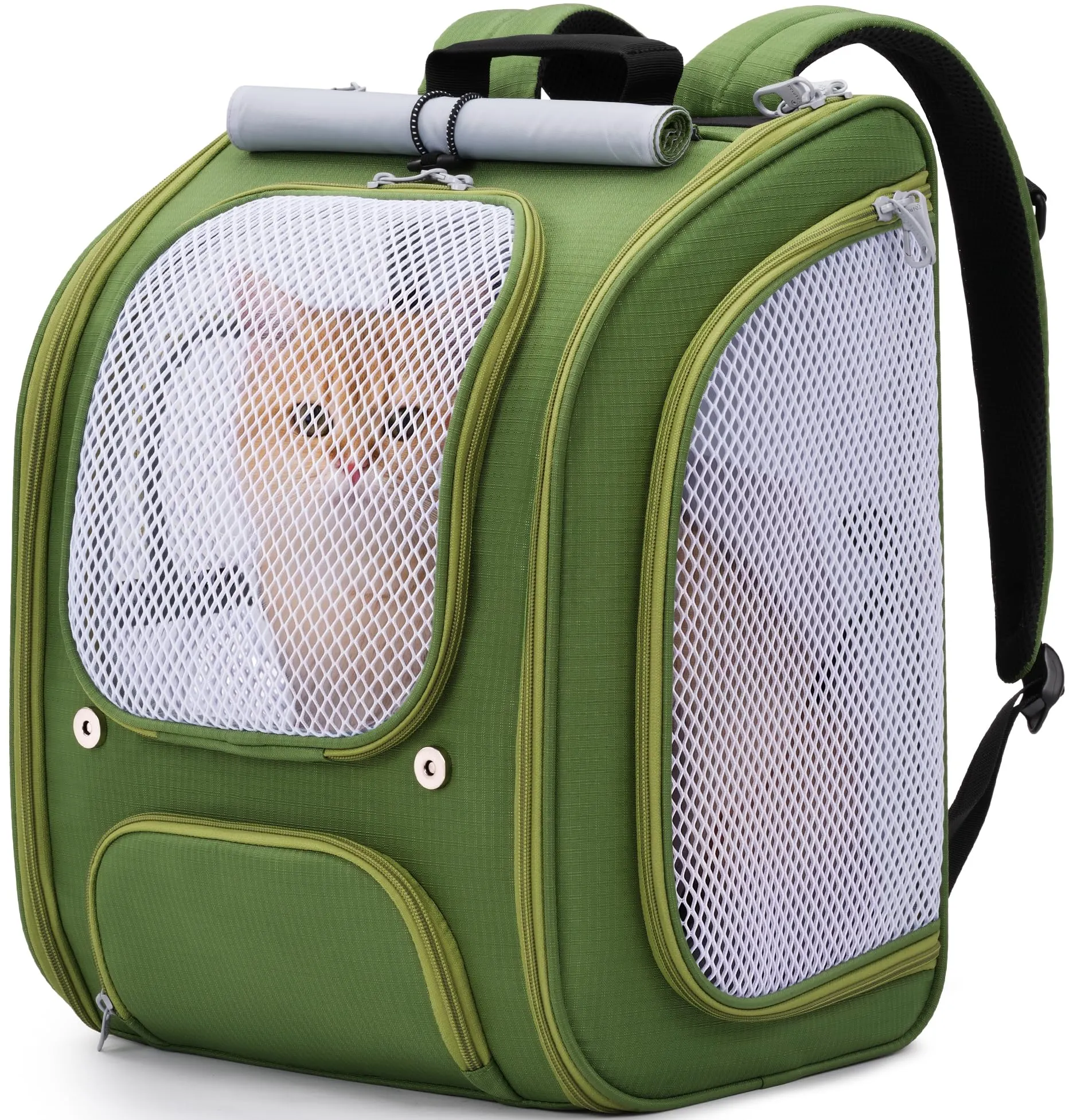 Pecute Zaino per gatti, spazioso e traspirante, verde - immagine 1