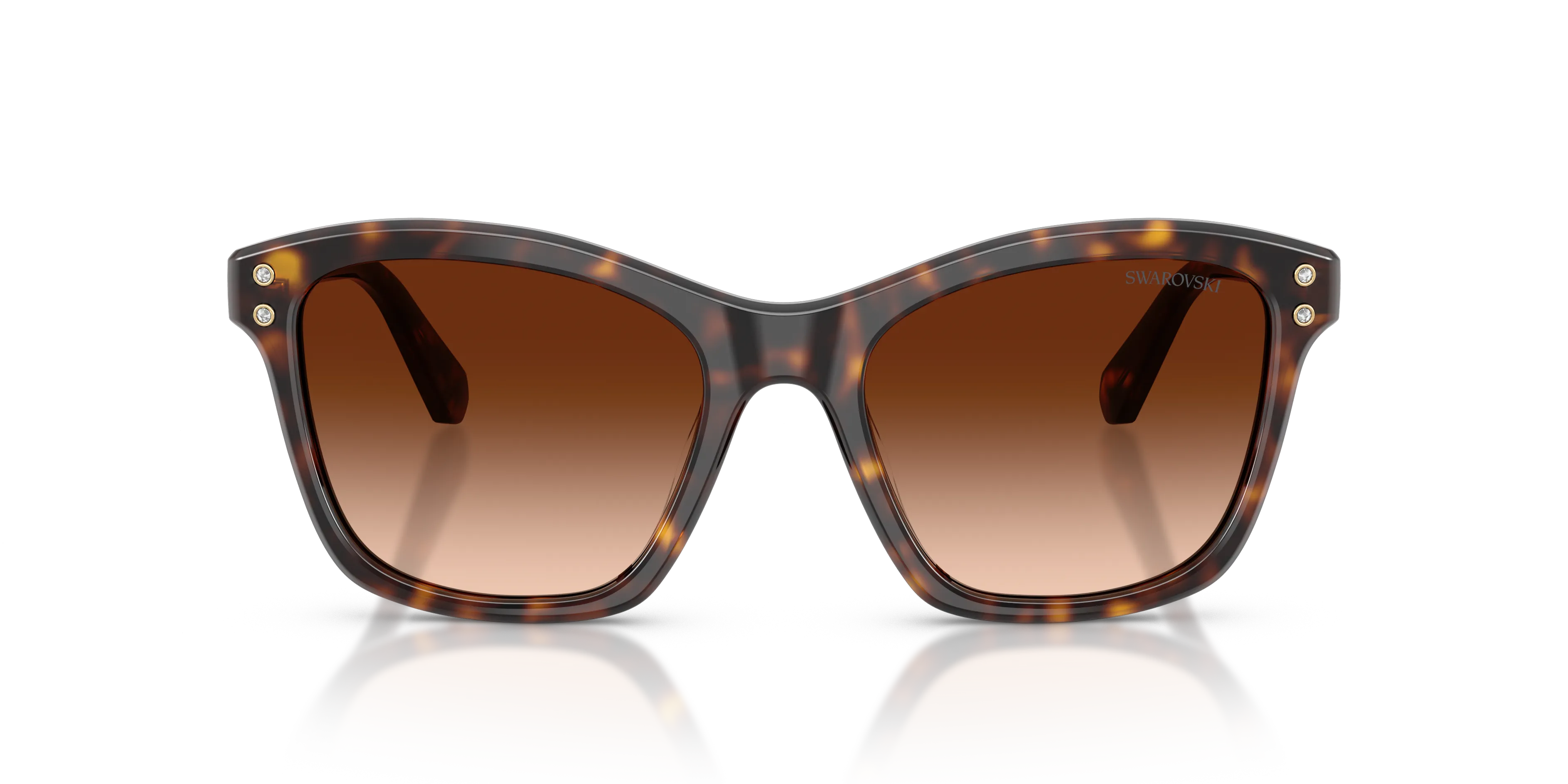 Swarovski SK6063 100274 Occhiali da sole Acetato Tartaruga Marrone Squadrata Normale Sfumato - immagine 3