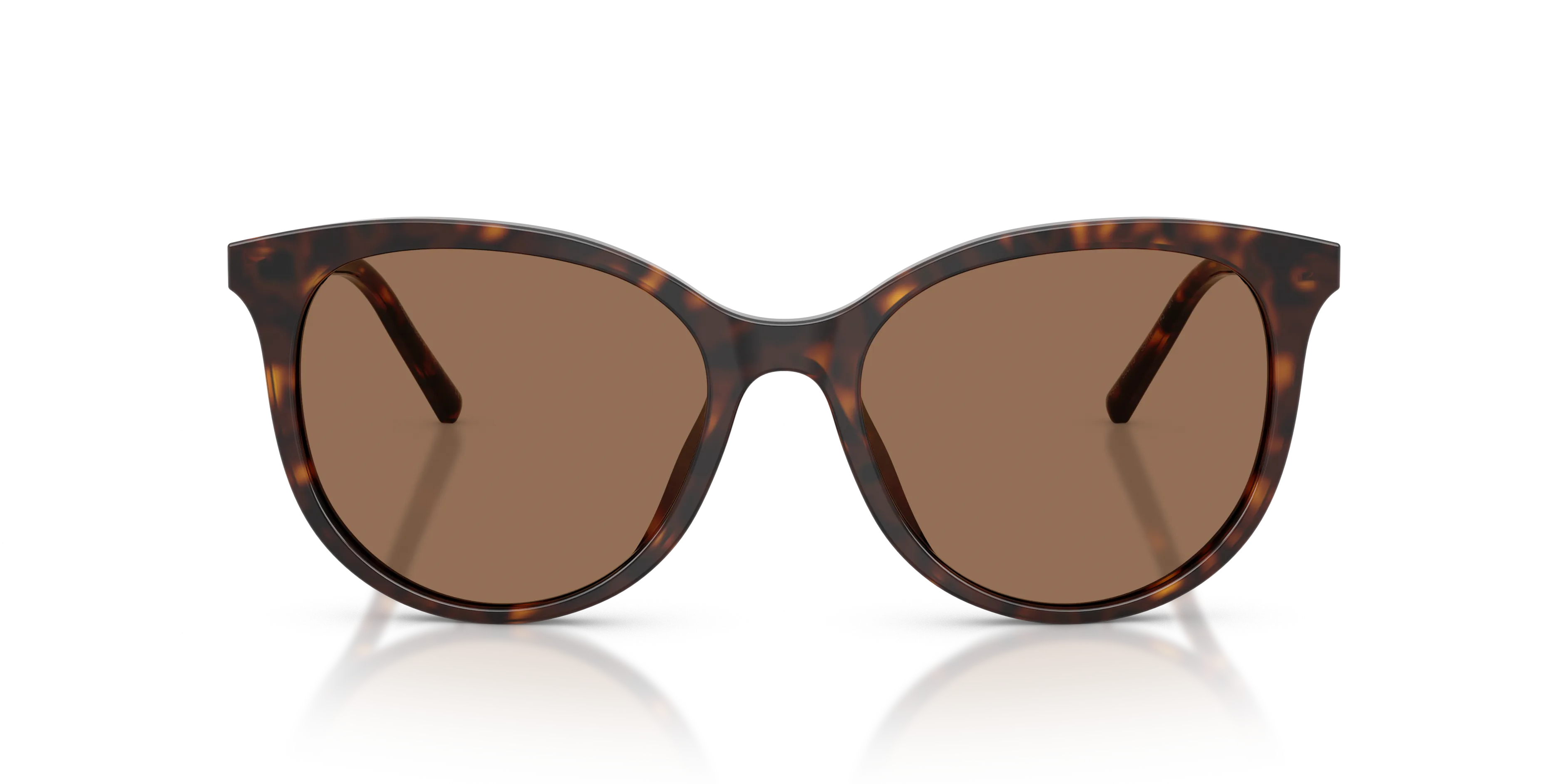 Dolce & Gabbana DG4540 502/13 Occhiali da sole Acetato Tartaruga Marrone Pantos Normale - immagine 3