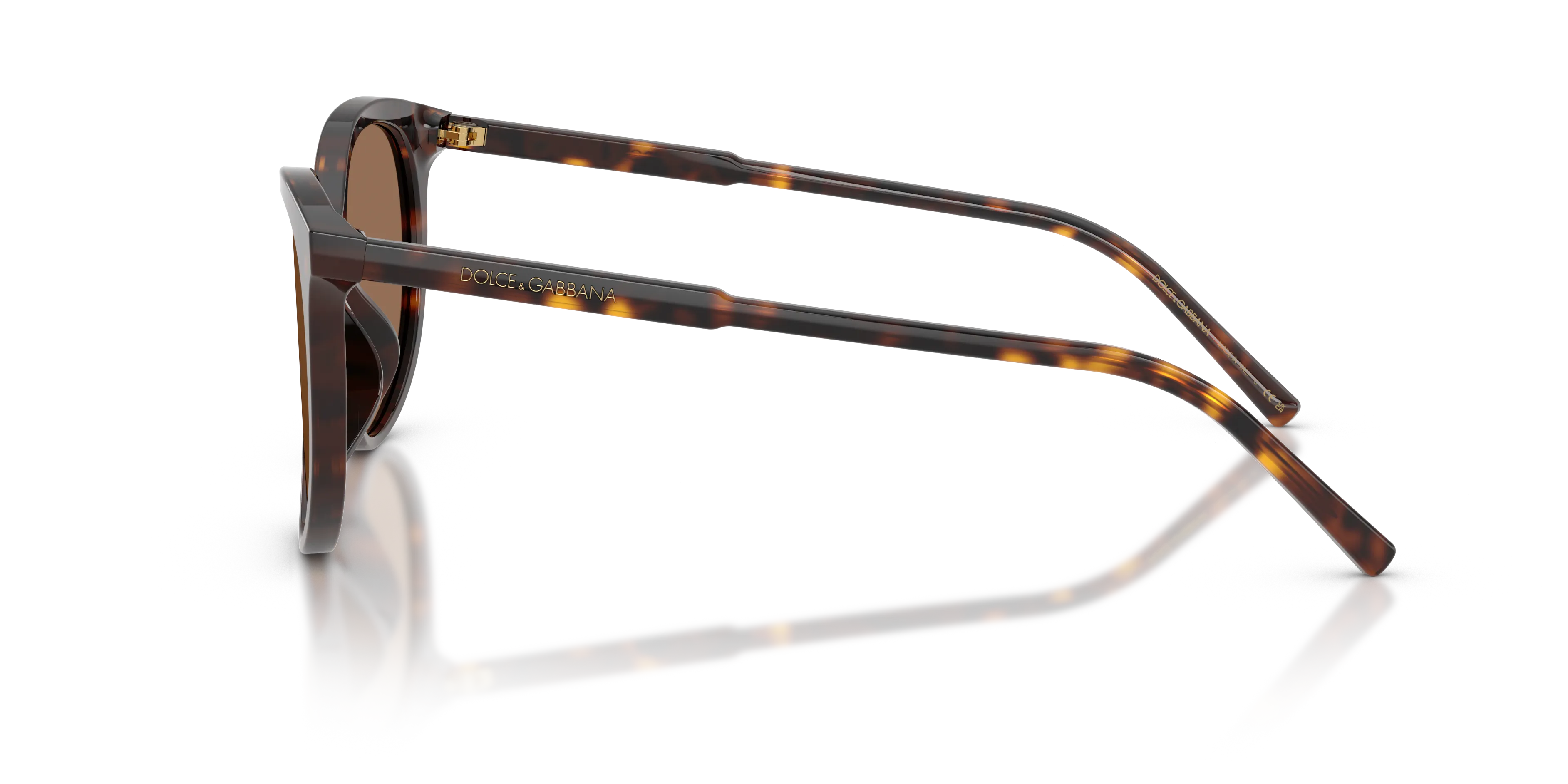 Dolce & Gabbana DG4540 502/13 Occhiali da sole Acetato Tartaruga Marrone Pantos Normale - immagine 4
