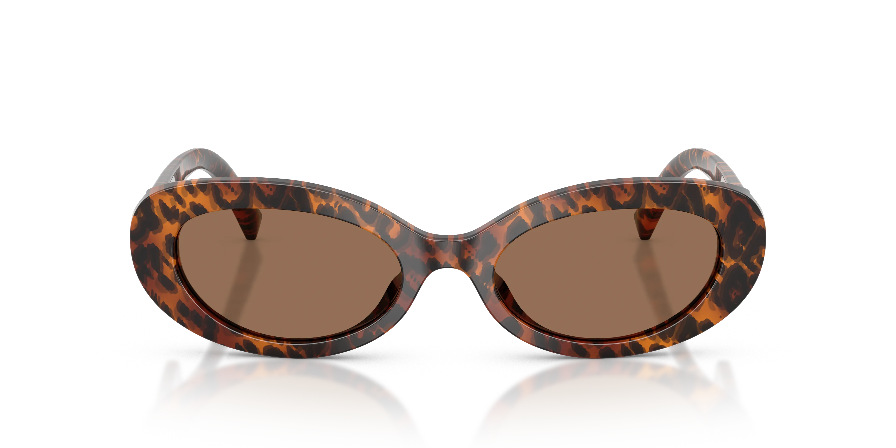 Dolce & Gabbana DG4537 347073 Occhiali da sole Acetato Marrone Marrone Rotonda Normale - immagine 3