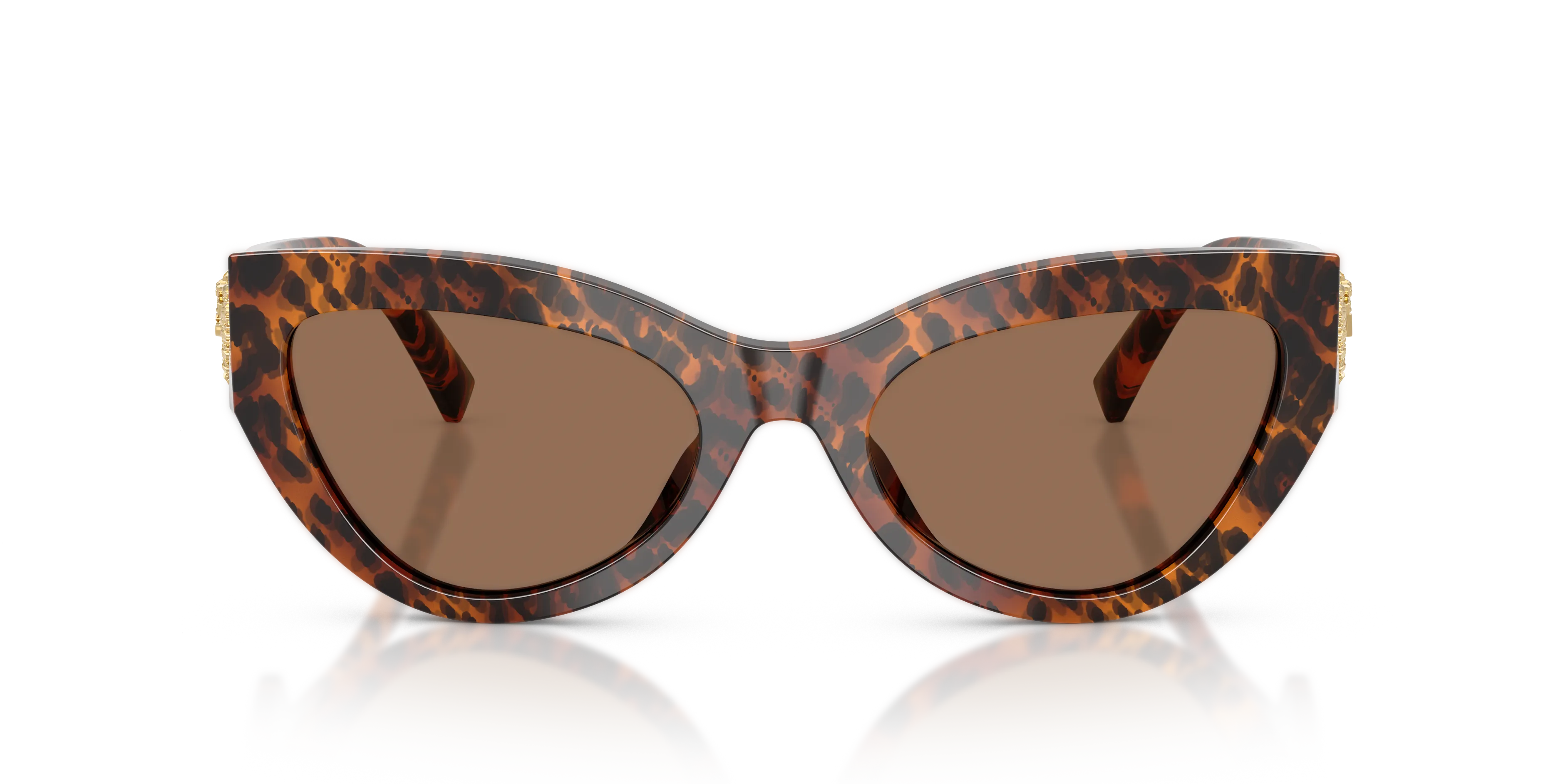 Dolce & Gabbana DG4536 347073 Occhiali da sole Acetato Marrone Marrone Cat Eye Normale - immagine 3