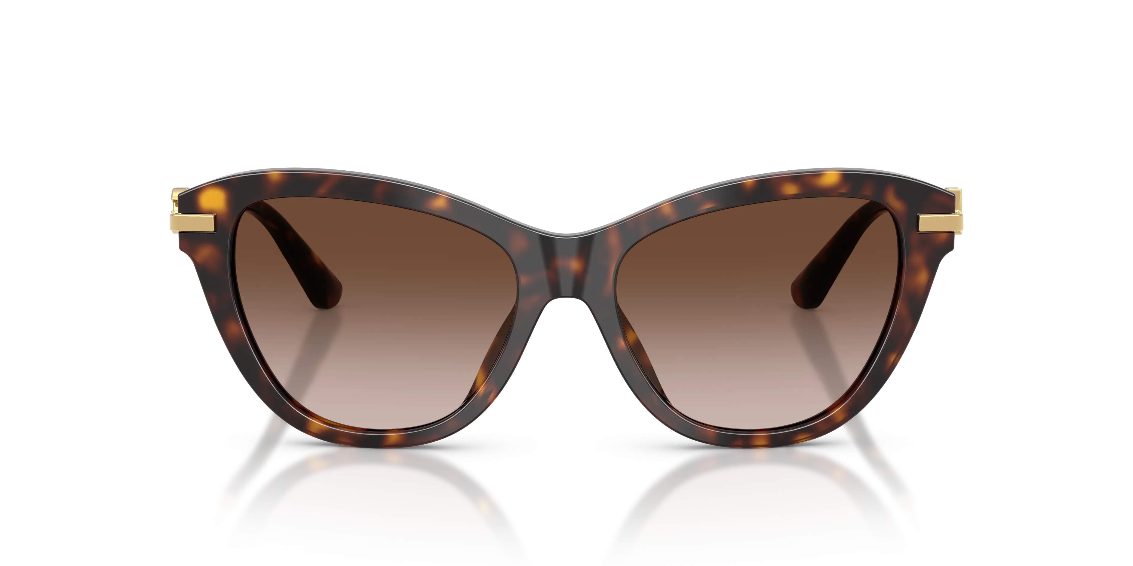 Dolce & Gabbana DG4534 502/13 Occhiali da sole Acetato Tartaruga Marrone Farfalla Normale Sfumato - immagine 3