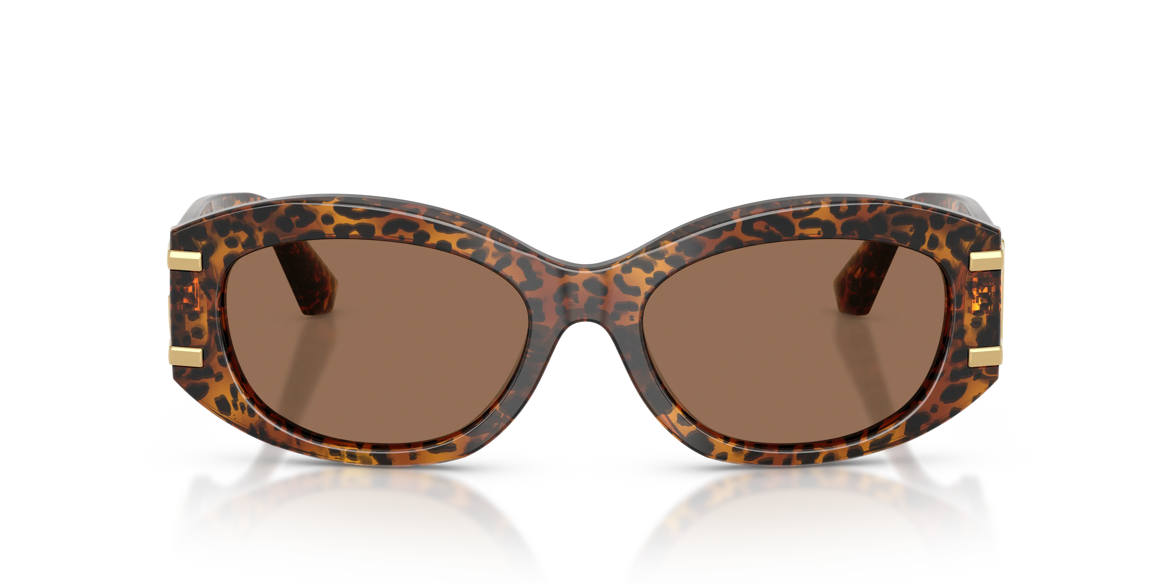 Dolce & Gabbana DG4502 347073 Occhiali da sole Acetato Marrone Marrone Rotonda Normale - immagine 3