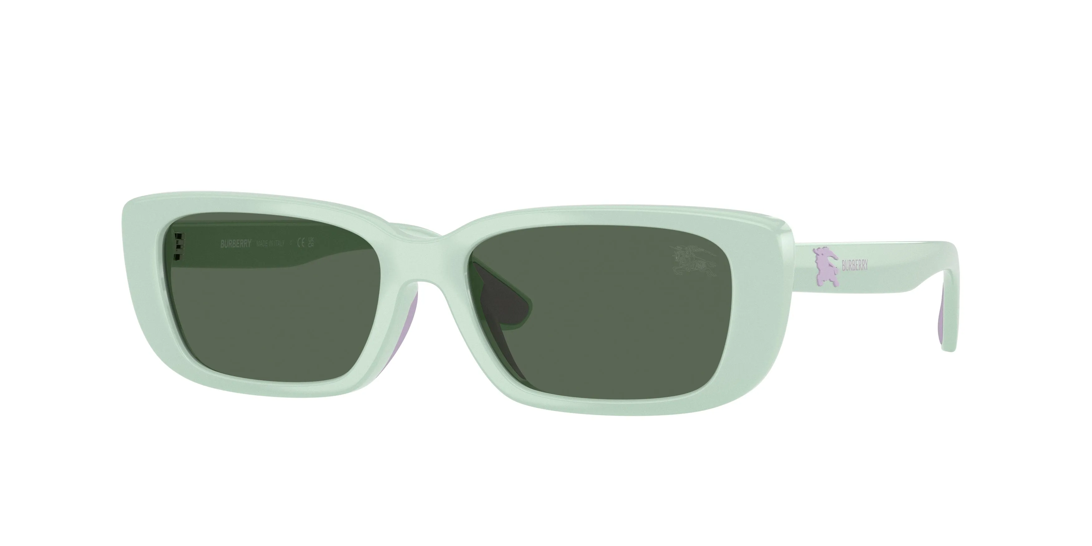 Burberry JB4006U 423071 Occhiali da sole bambino Iniettato Verde Verde Squadrata Normale - immagine 1