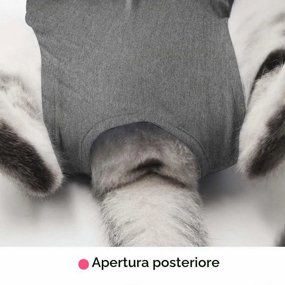 LIANZIMAU Body Gatto Post Operatorio E-Collar Alternativa per Gatti e Cani, Dopo Un Intervento Chirurgico Wear Tuta Gatto Post Intervento - immagine 4
