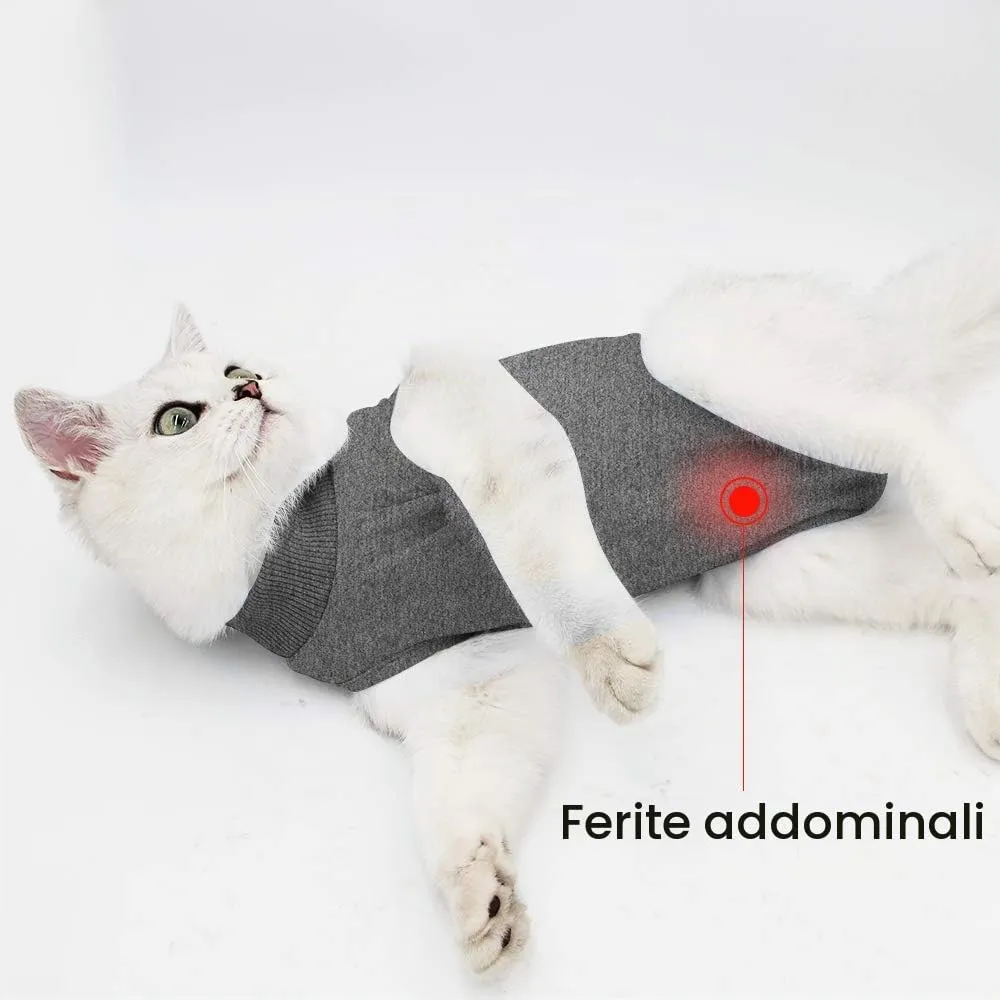 LIANZIMAU Body Gatto Post Operatorio E-Collar Alternativa per Gatti e Cani, Dopo Un Intervento Chirurgico Wear Tuta Gatto Post Intervento - immagine 6