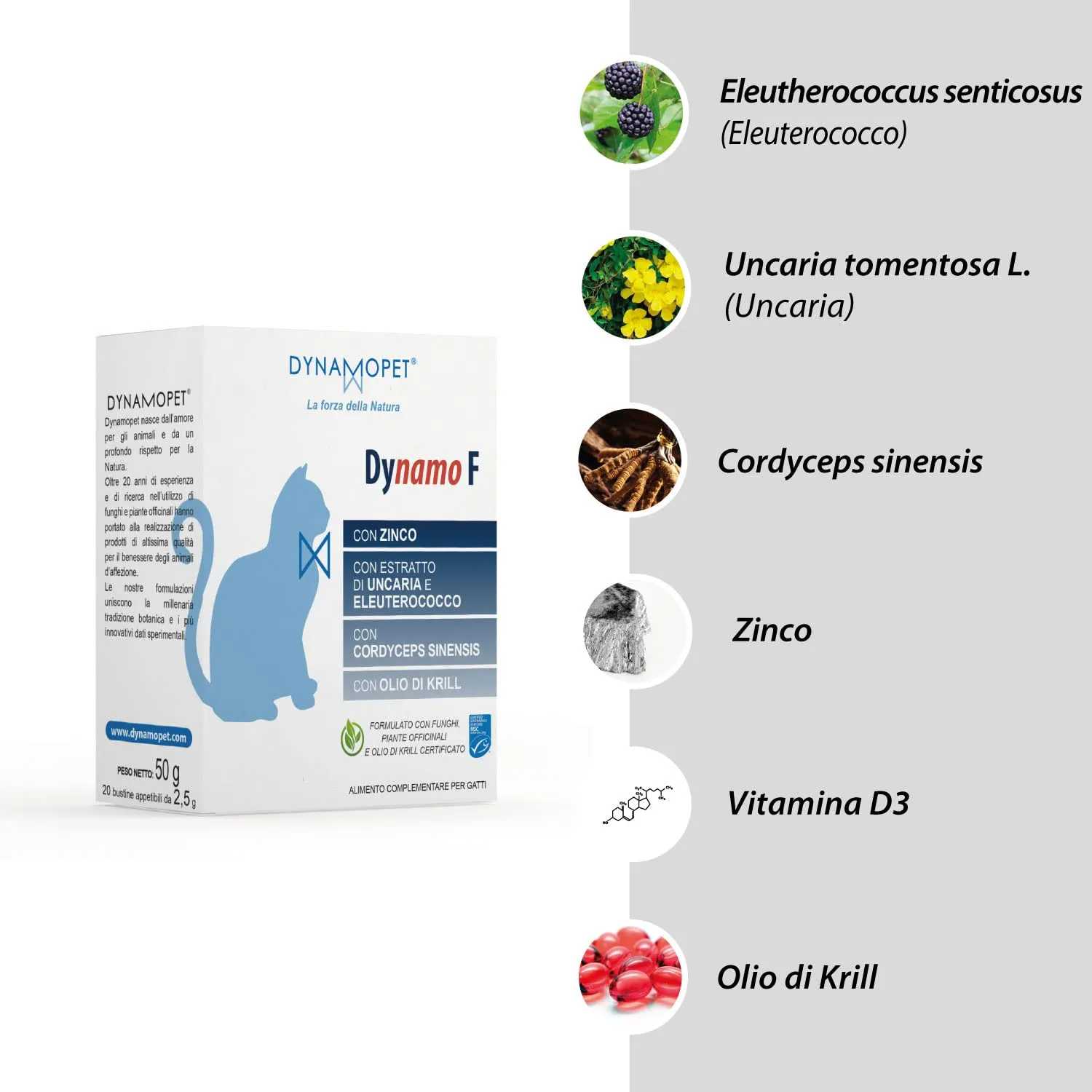 DYNAMOPET | Dynamo F - Alimento Complementare per le Naturali Difese dell'Organismo di Gatti, Confezione 20 Stick da 2,5 g - uno Stick ogni 5 kg di Peso dell'Animale - immagine 3