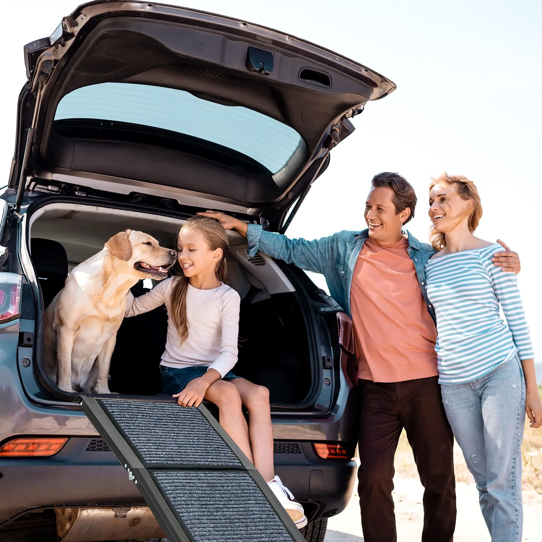 CO-Z 170 cm Rampa per Cani per Auto, Rampa Pieghevole per Cani Grandi fino a 90 kg, Rampa per Auto per Cani Portatile con Superficie del Tappeto Antiscivolo per Auto SUV Camion, Uso Interno Esterno - immagine 9