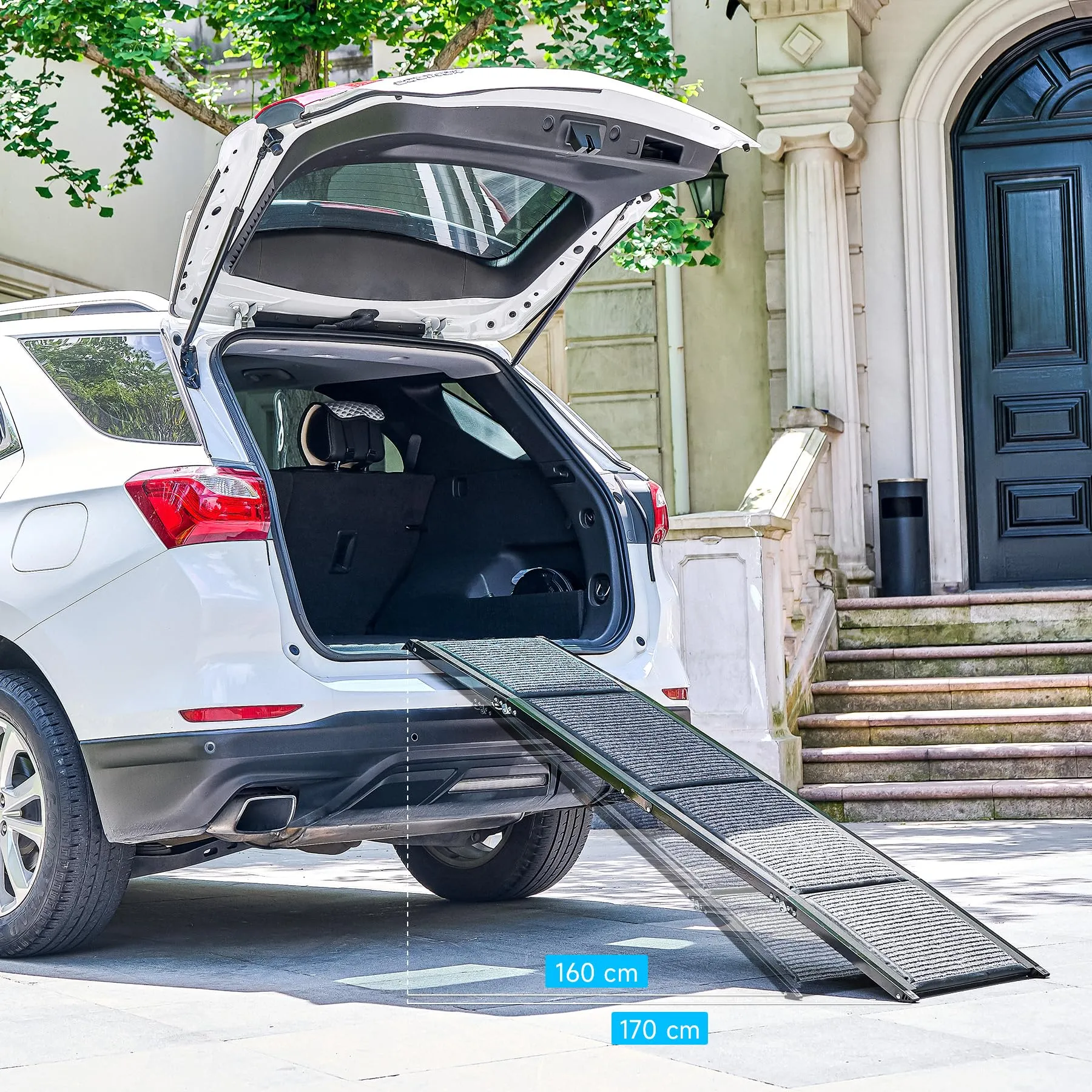 CO-Z 160 cm Rampa per Cani per Auto, Rampa Pieghevole per Cani Grandi fino a 90 kg, Rampa per Auto per Cani Portatile con Superficie del Tappeto Antiscivolo per Auto SUV Camion, Uso Interno Esterno - immagine 8