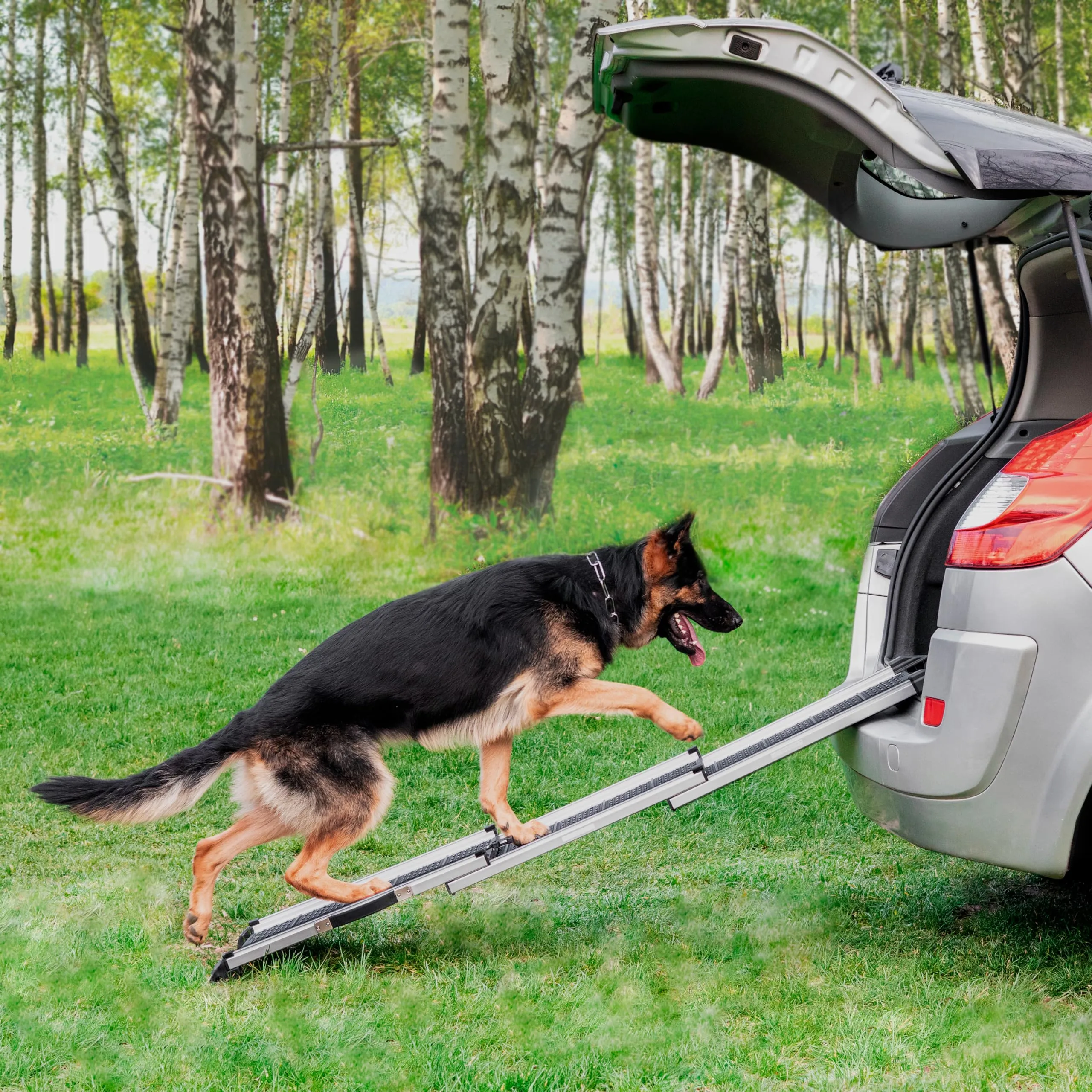 Rampa per Cani per Auto, SUV – Rampe Telescopiche Estensibili per Cani di Grossa Taglia – STABILI – ANTISCIVOLO – Sicurezza Notturna Lati Riflettenti – Capacità 90 kg – Clip di Bloccaggio – Nero - immagine 8