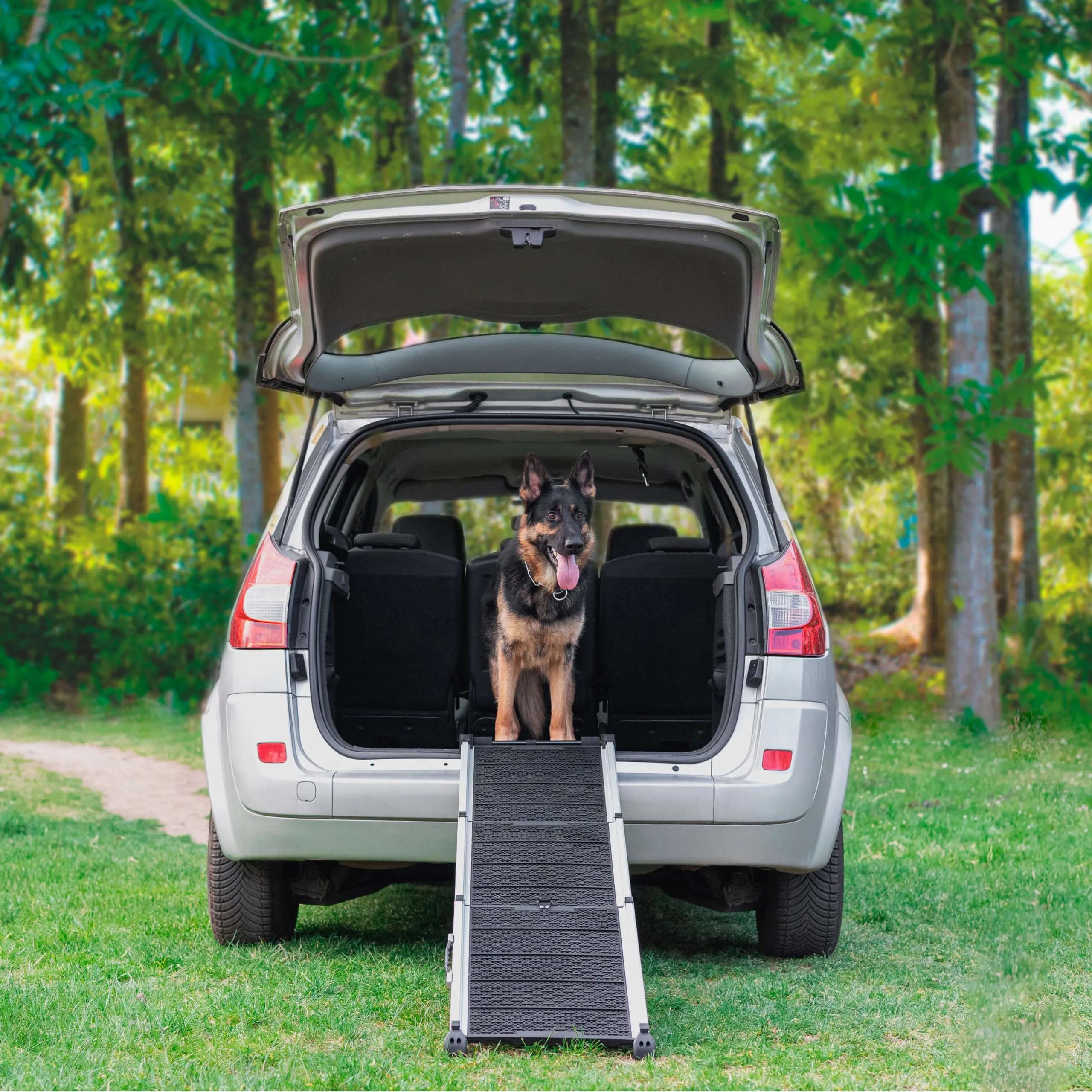 Rampa per Cani per Auto, SUV – Rampe Telescopiche Estensibili per Cani di Grossa Taglia – STABILI – ANTISCIVOLO – Sicurezza Notturna Lati Riflettenti – Capacità 90 kg – Clip di Bloccaggio – Nero - immagine 9