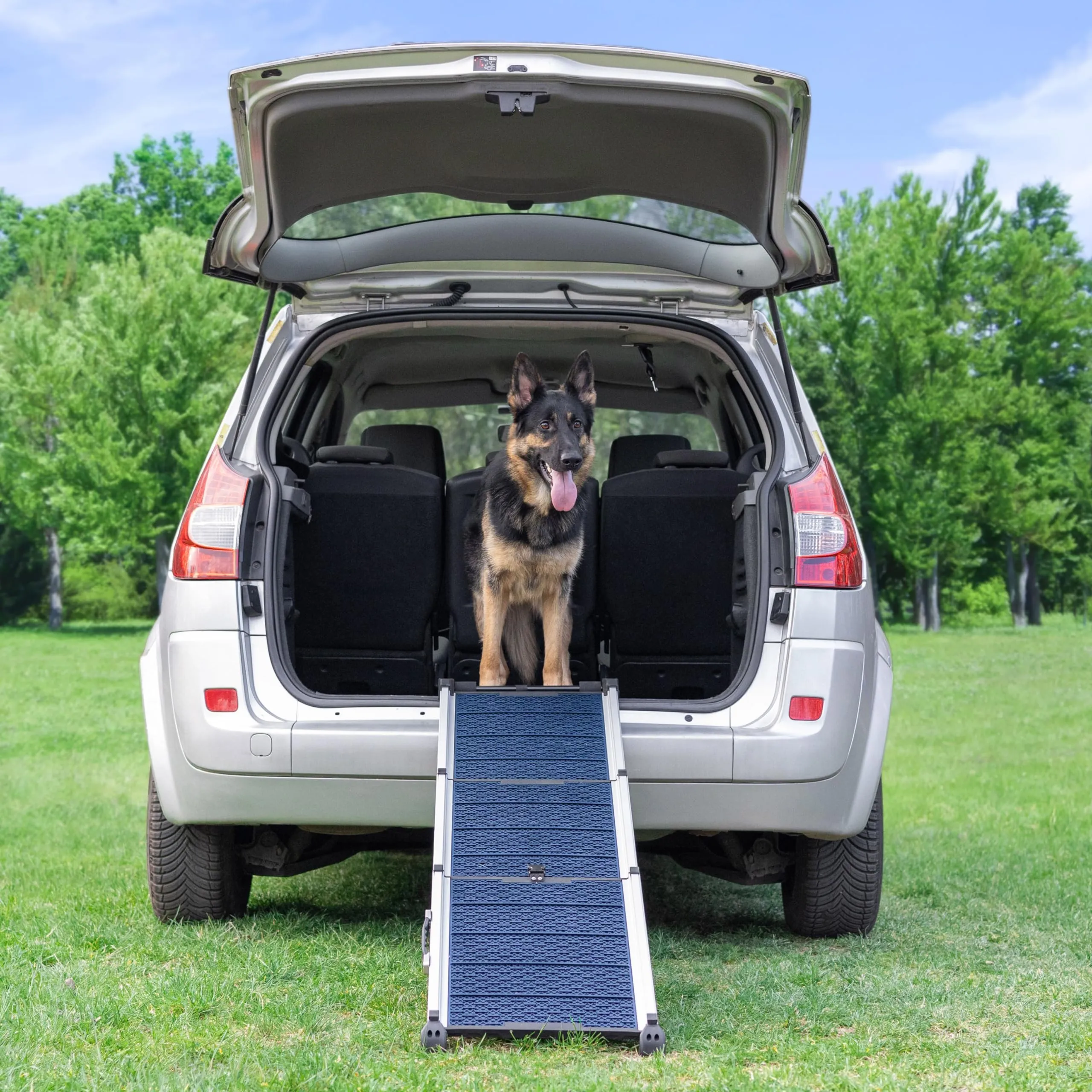 Rampa per Cani per Auto, SUV – Rampe Telescopiche Estensibili per Cani di Grossa Taglia – STABILI – ANTISCIVOLO – Sicurezza Notturna Lati Riflettenti – Capacità 90 kg – Clip di Bloccaggio – Blu - immagine 9