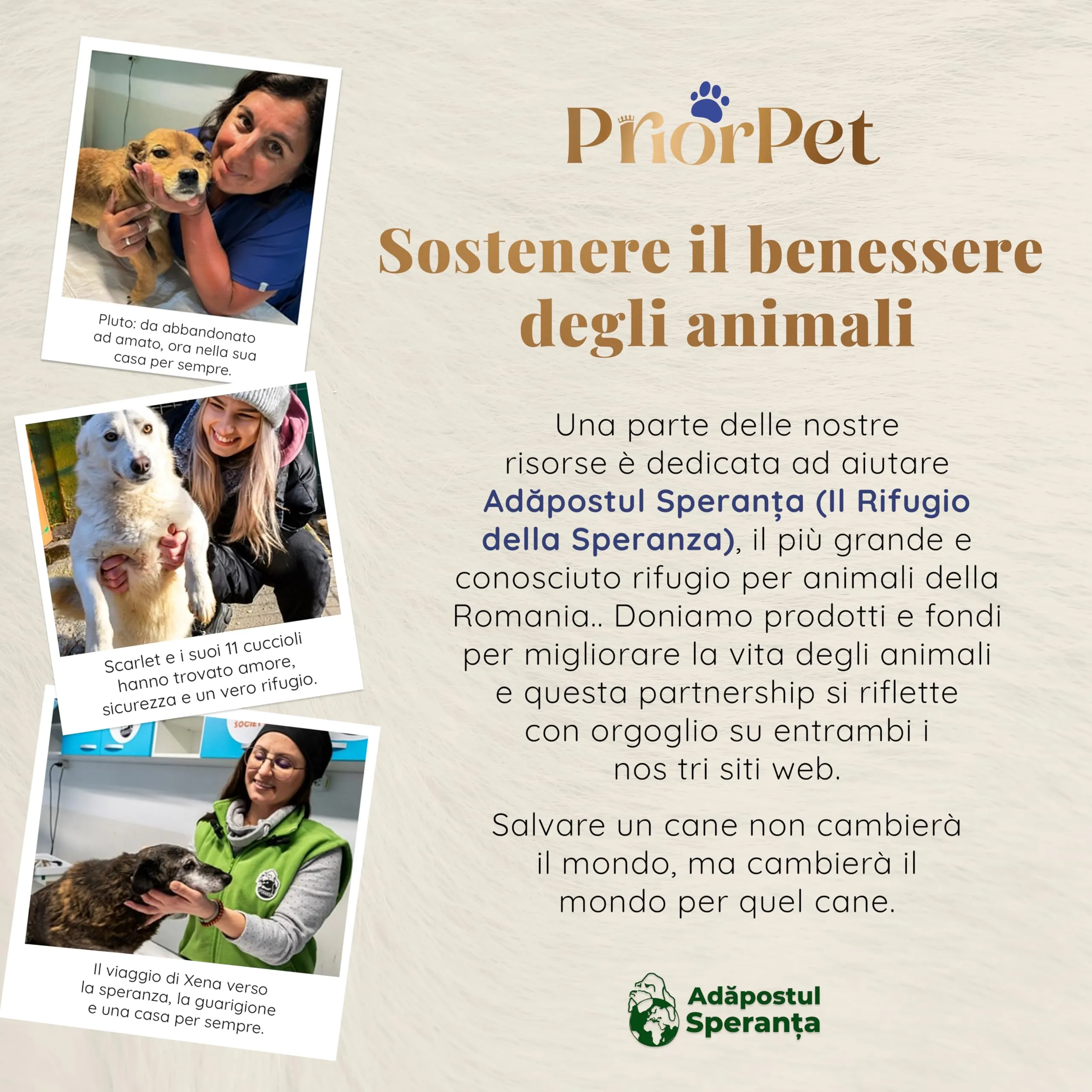Rampa per Cani per Auto, SUV – Rampe Telescopiche Estensibili per Cani di Grossa Taglia – STABILI – ANTISCIVOLO – Sicurezza Notturna Lati Riflettenti – Capacità 90 kg – Clip di Bloccaggio – Blu - immagine 10
