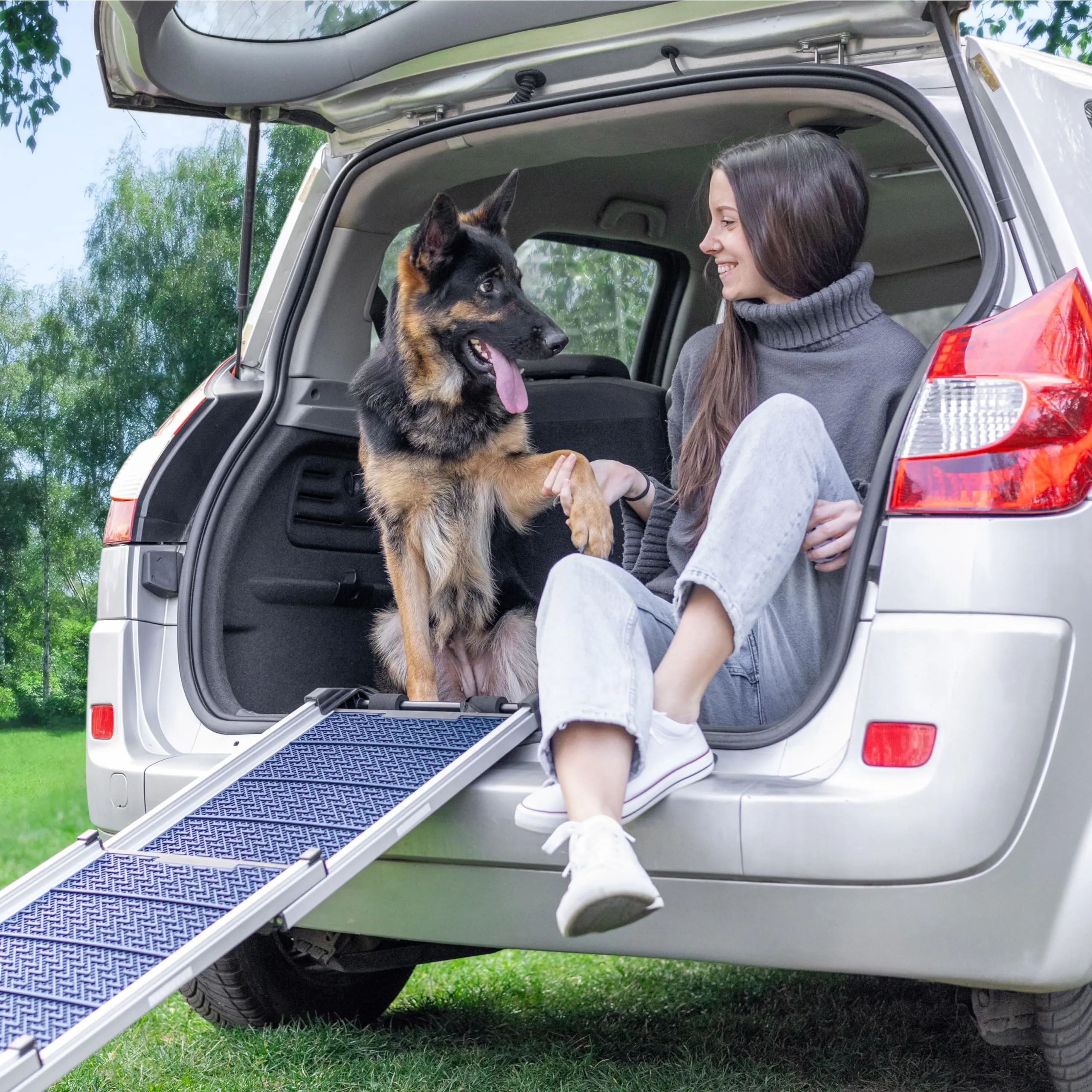 Rampa per Cani per Auto, SUV – Rampe Telescopiche Estensibili per Cani di Grossa Taglia – STABILI – ANTISCIVOLO – Sicurezza Notturna Lati Riflettenti – Capacità 90 kg – Clip di Bloccaggio – Blu - immagine 11