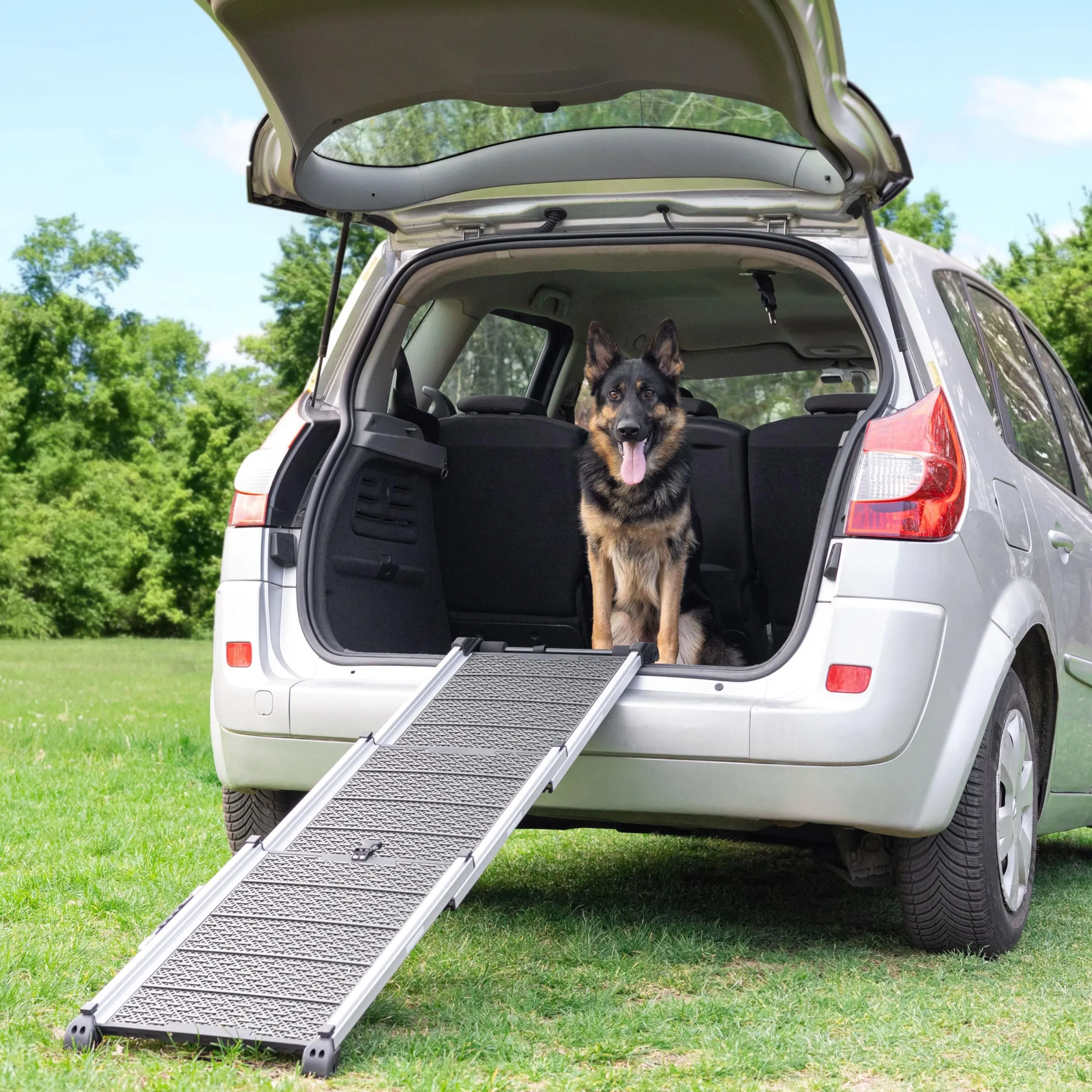 Rampa per Cani per Auto, SUV – Rampe Telescopiche Estensibili per Cani di Grossa Taglia – STABILI – ANTISCIVOLO – Sicurezza Notturna Lati Riflettenti – Capacità 90 kg – Clip di Bloccaggio – Grigio - immagine 8