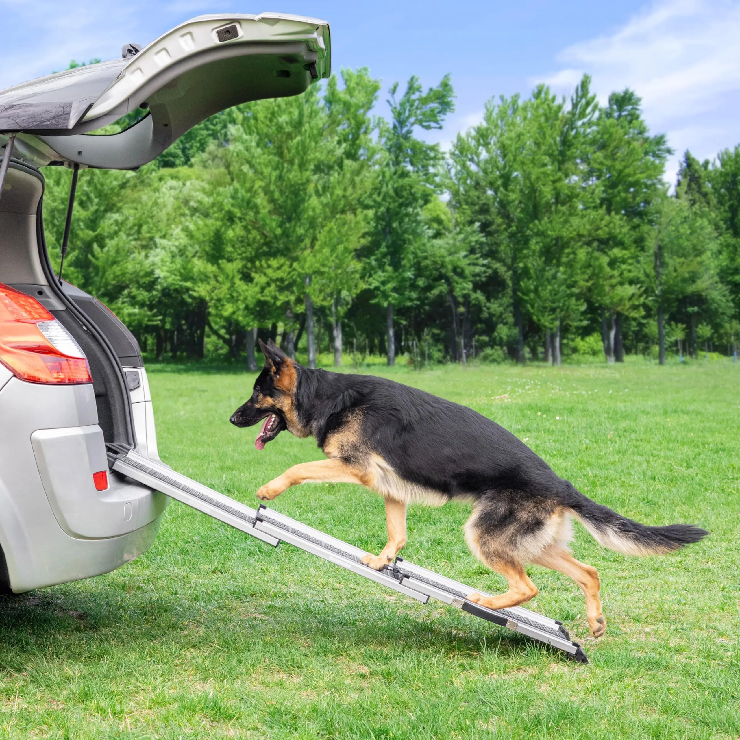 Rampa per Cani per Auto, SUV – Rampe Telescopiche Estensibili per Cani di Grossa Taglia – STABILI – ANTISCIVOLO – Sicurezza Notturna Lati Riflettenti – Capacità 90 kg – Clip di Bloccaggio – Grigio - immagine 9