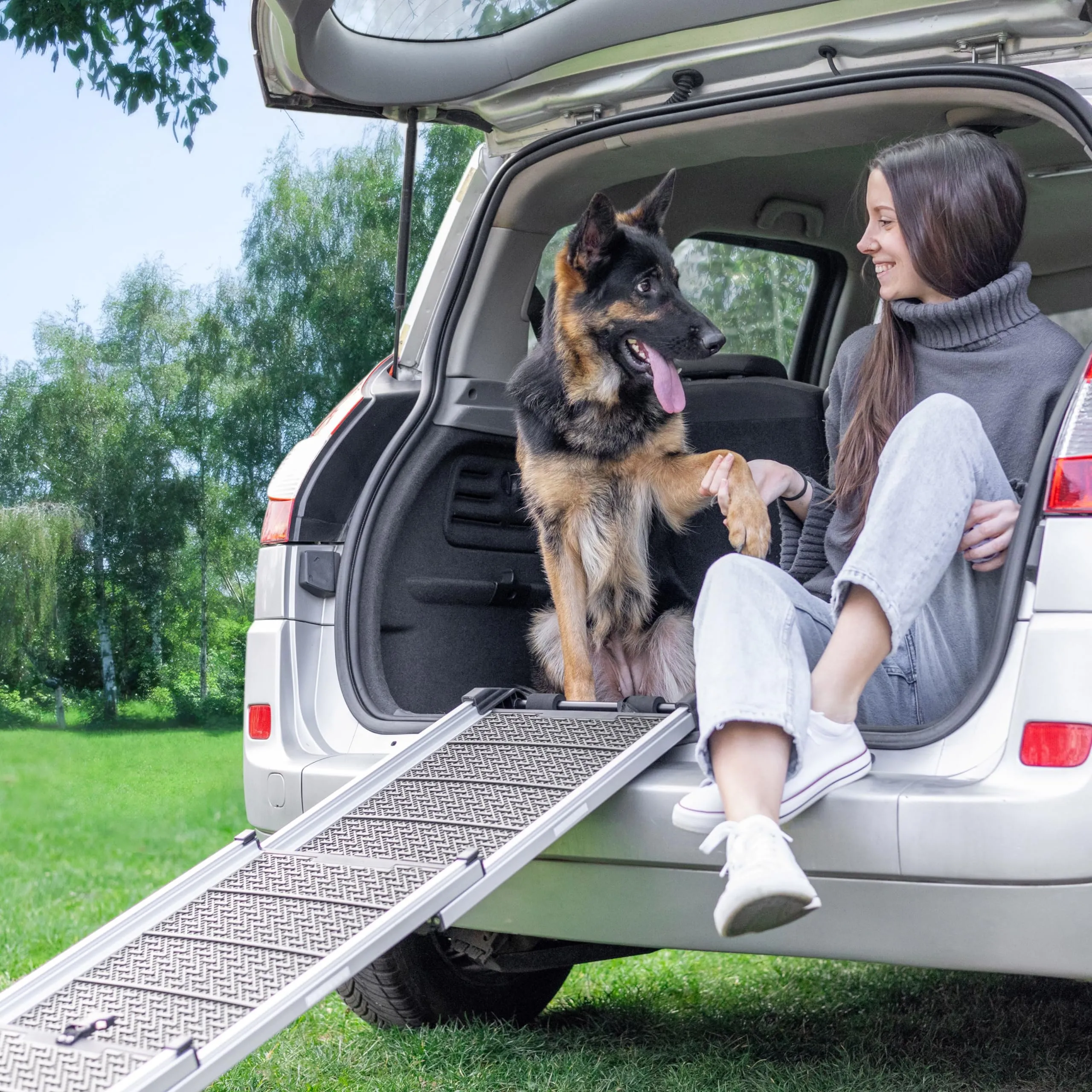 Rampa per Cani per Auto, SUV – Rampe Telescopiche Estensibili per Cani di Grossa Taglia – STABILI – ANTISCIVOLO – Sicurezza Notturna Lati Riflettenti – Capacità 90 kg – Clip di Bloccaggio – Grigio - immagine 11
